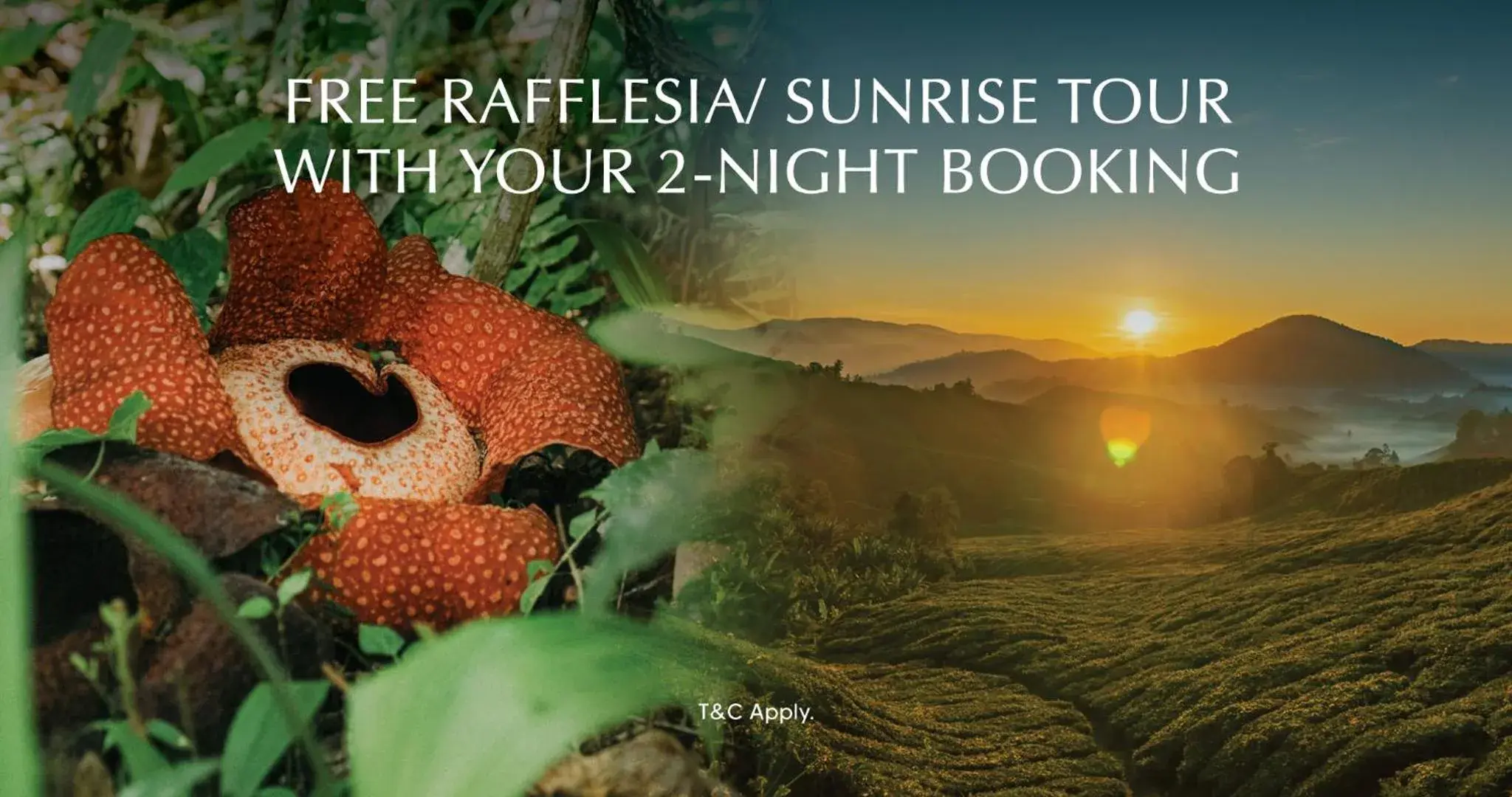 Property building in Zen By Stellar Cameron Property building in Zen By Stellar Cameron