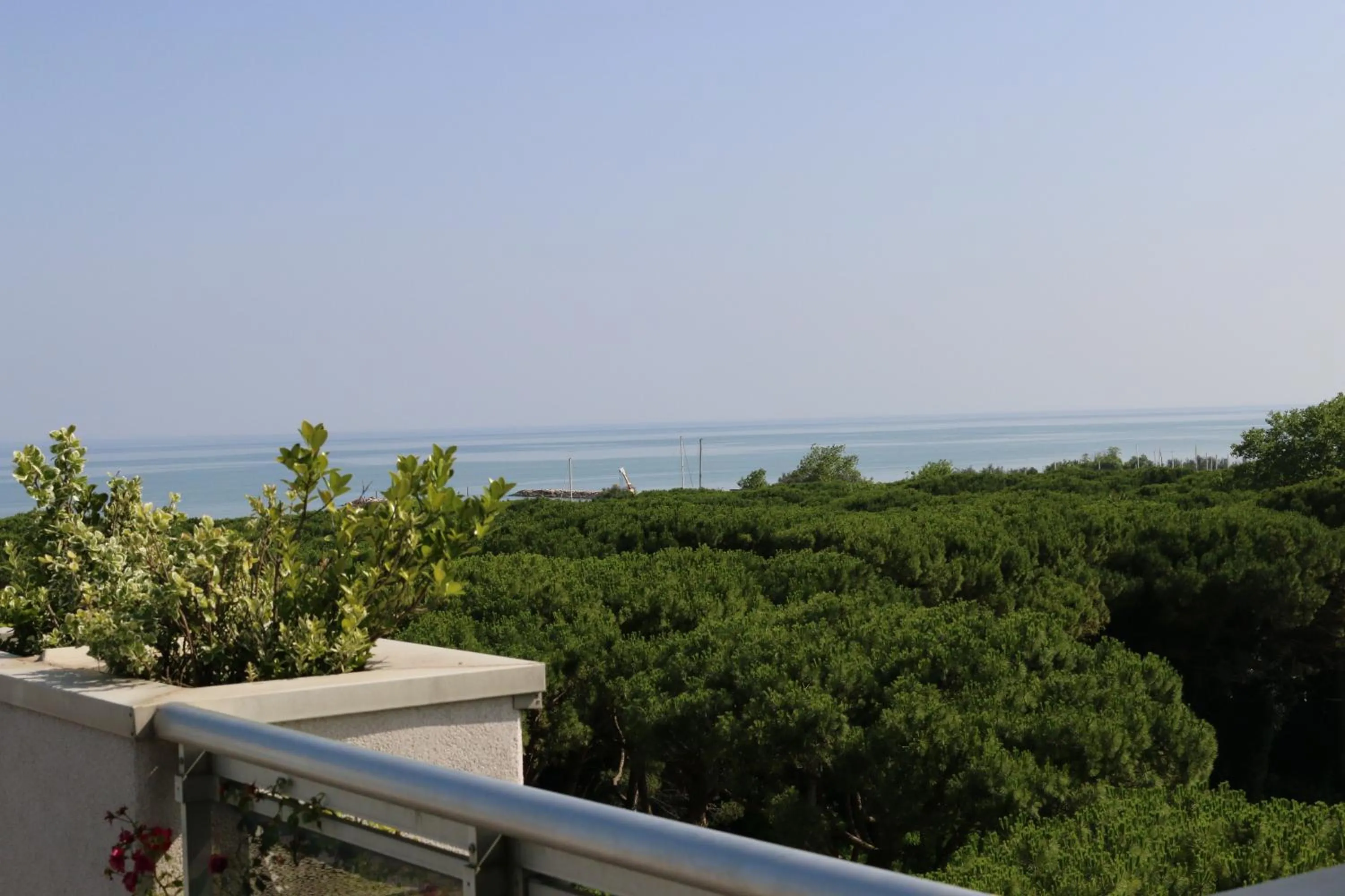 View (from property/room) in Eraclea Palace Hotel 4 stelle S