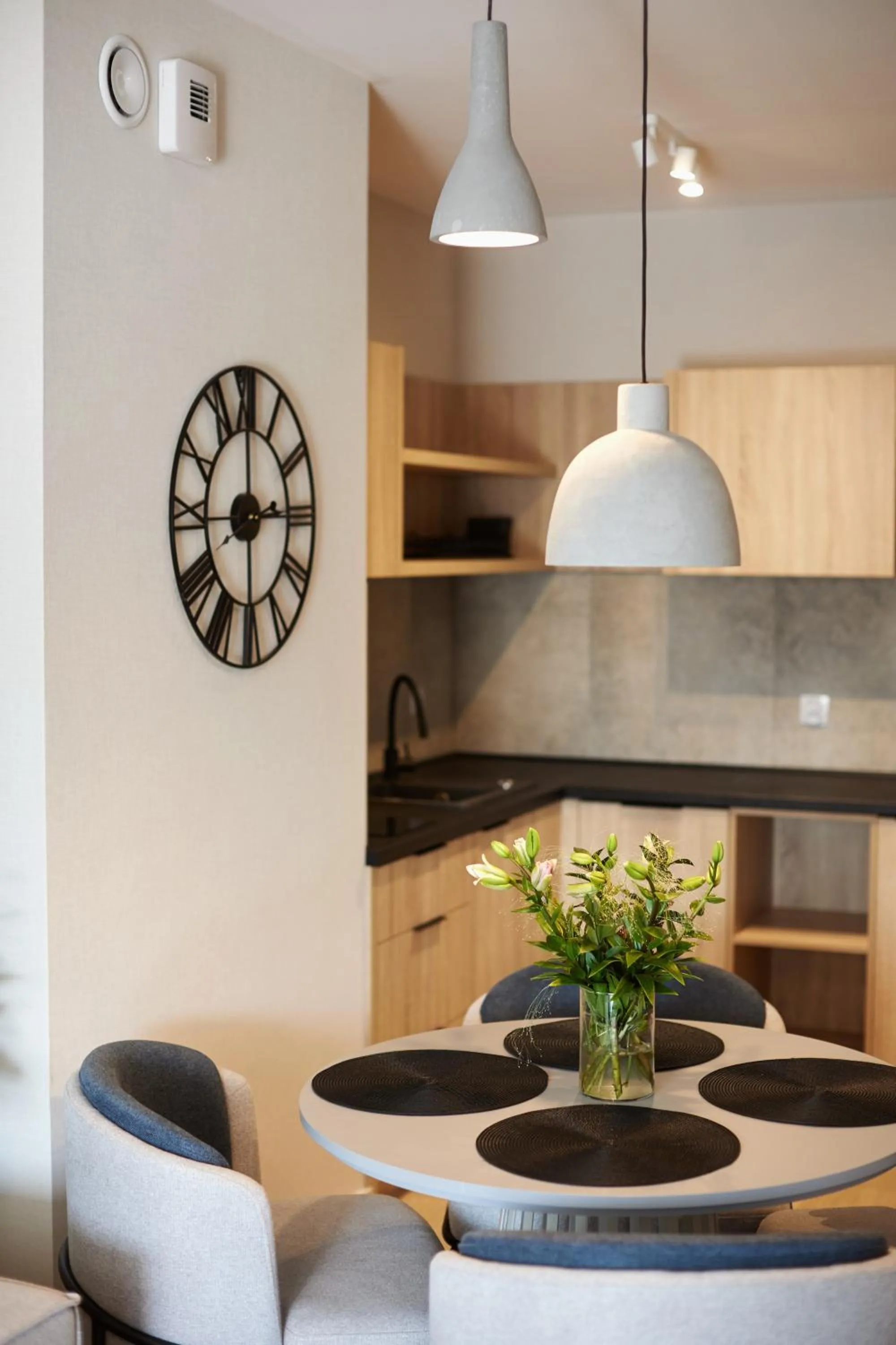 Kitchen or kitchenette in Resort Baltic Waves Apartments - Pool & Spa