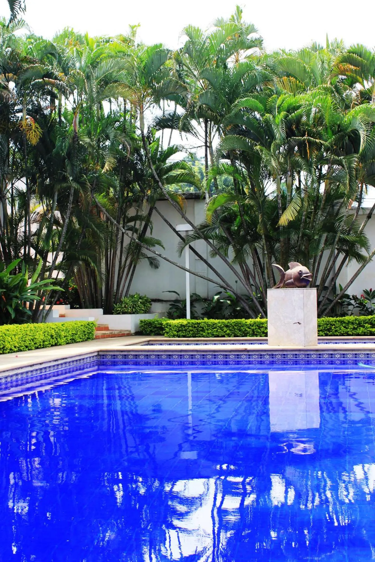 View (from property/room) in Hotel Boutique Villa Casuarinas