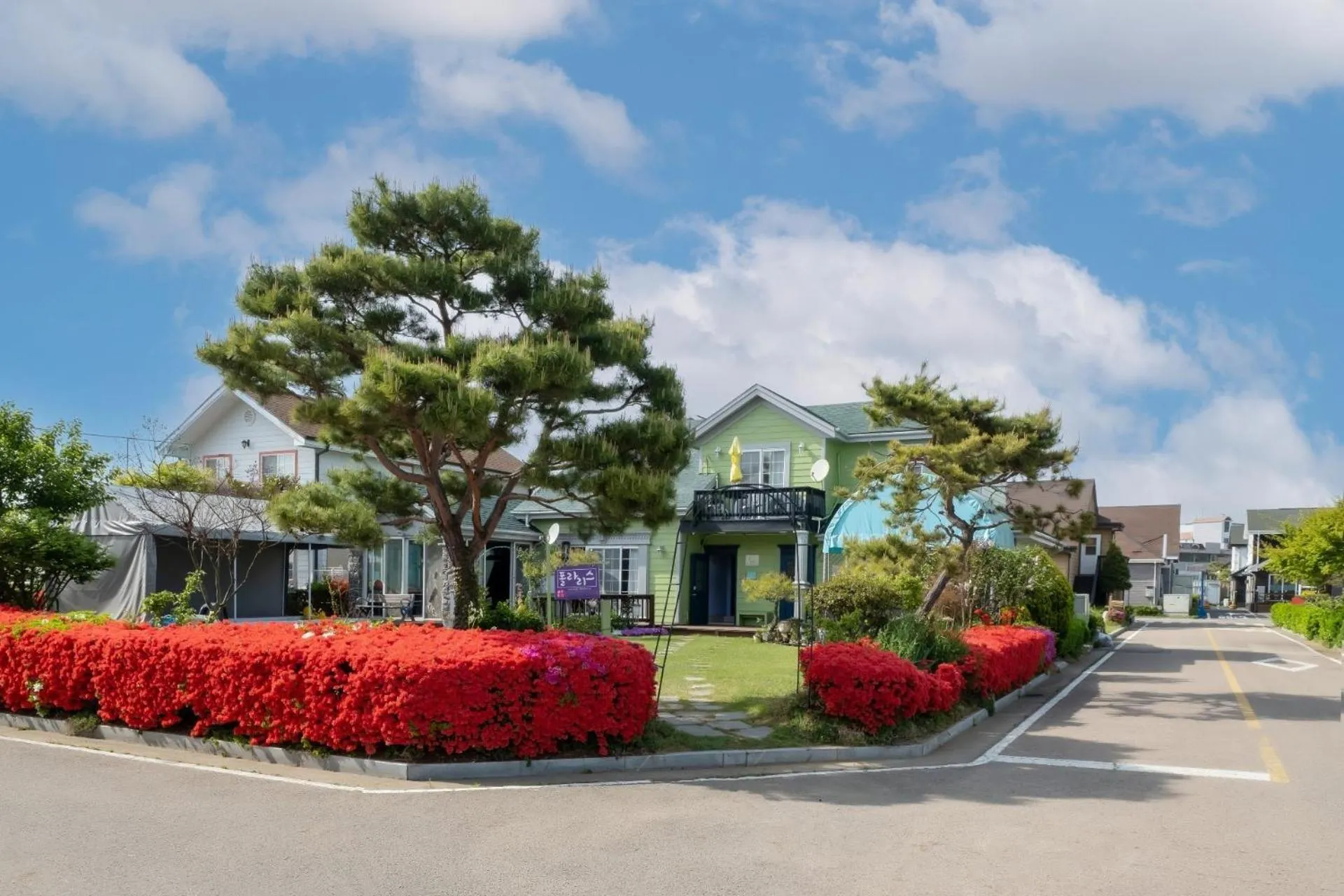 Daebudo polaris pension