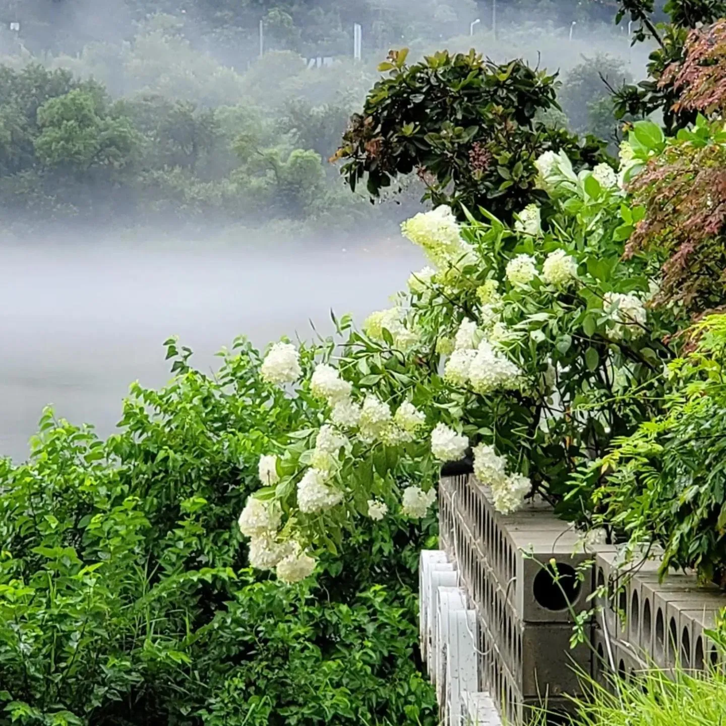 Chuncheon Onda Poolvilla