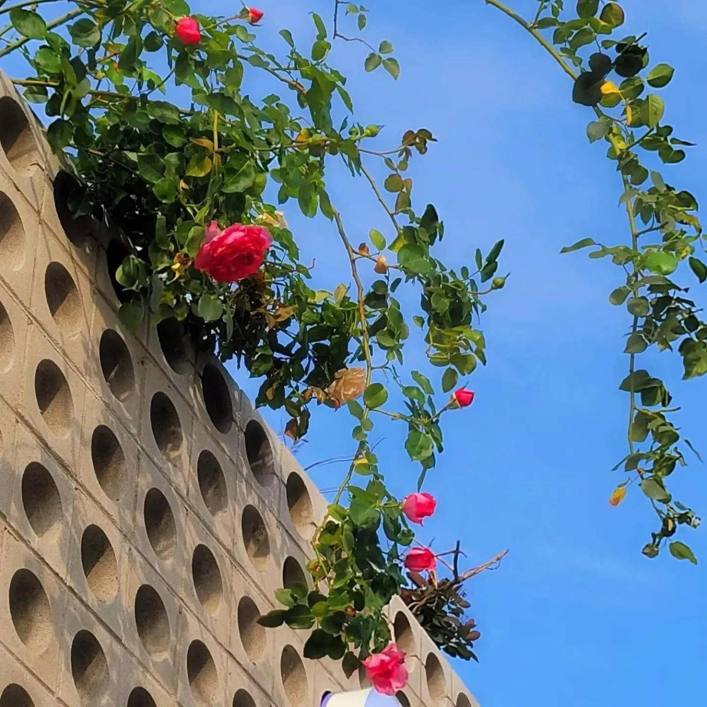 Chuncheon Onda Poolvilla