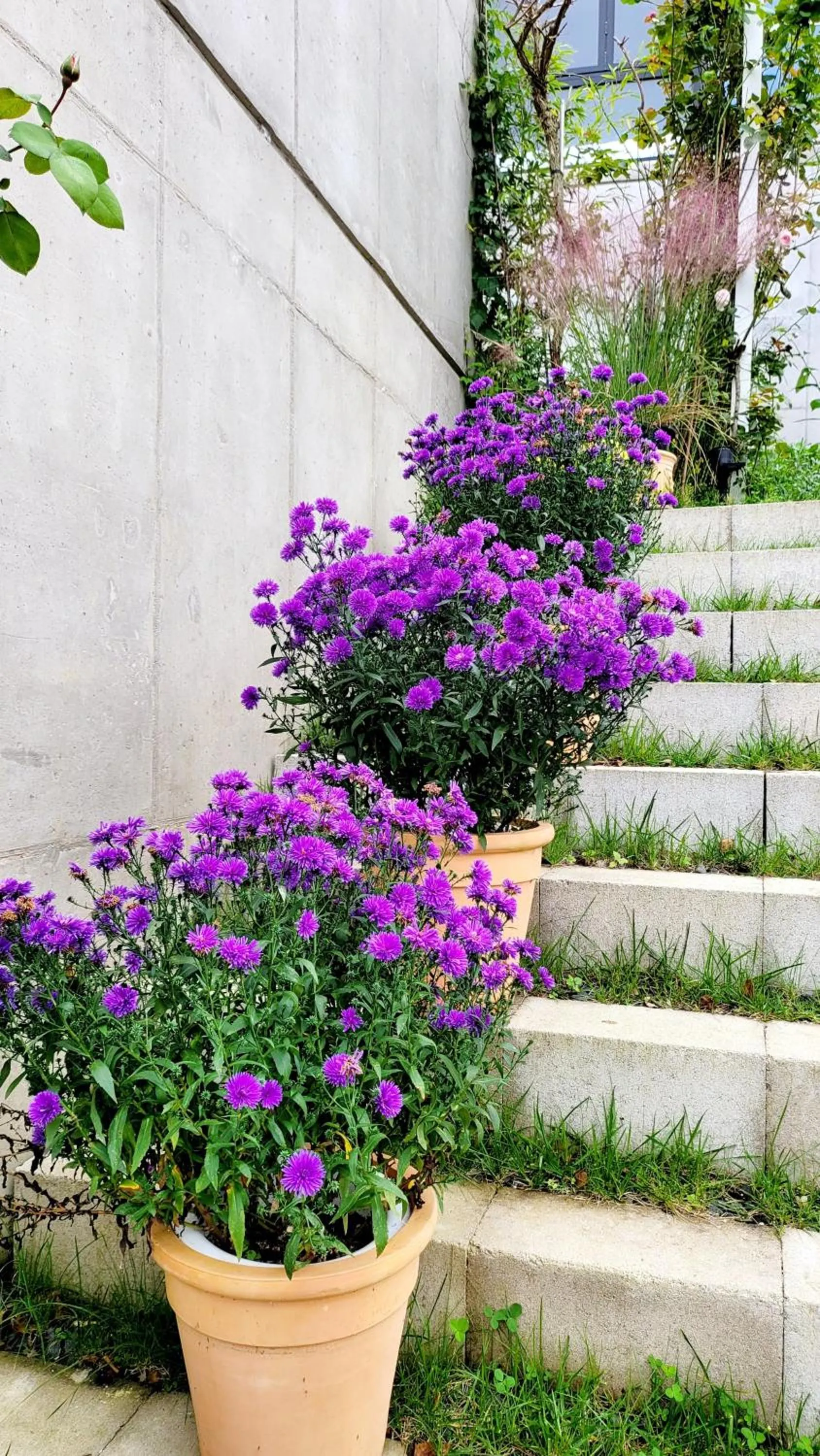 Chuncheon Onda Poolvilla