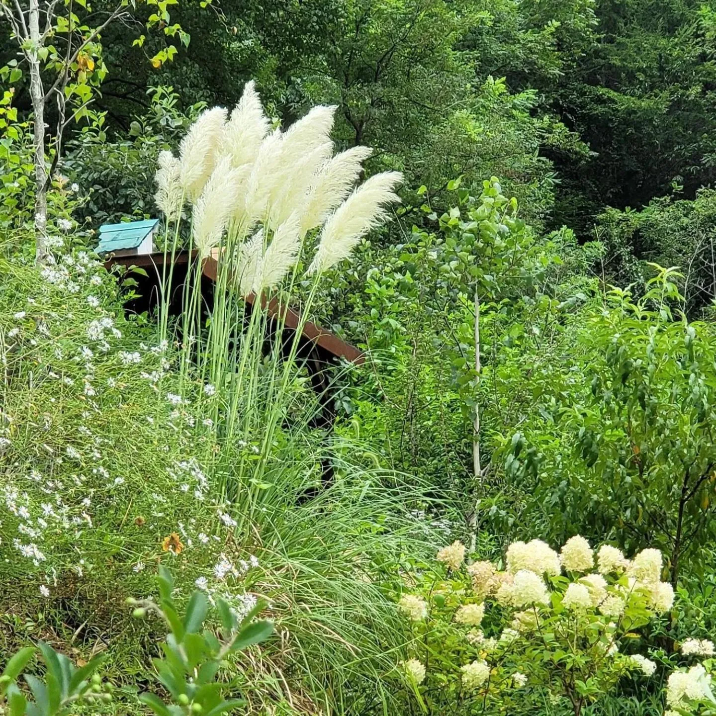 Chuncheon Onda Poolvilla