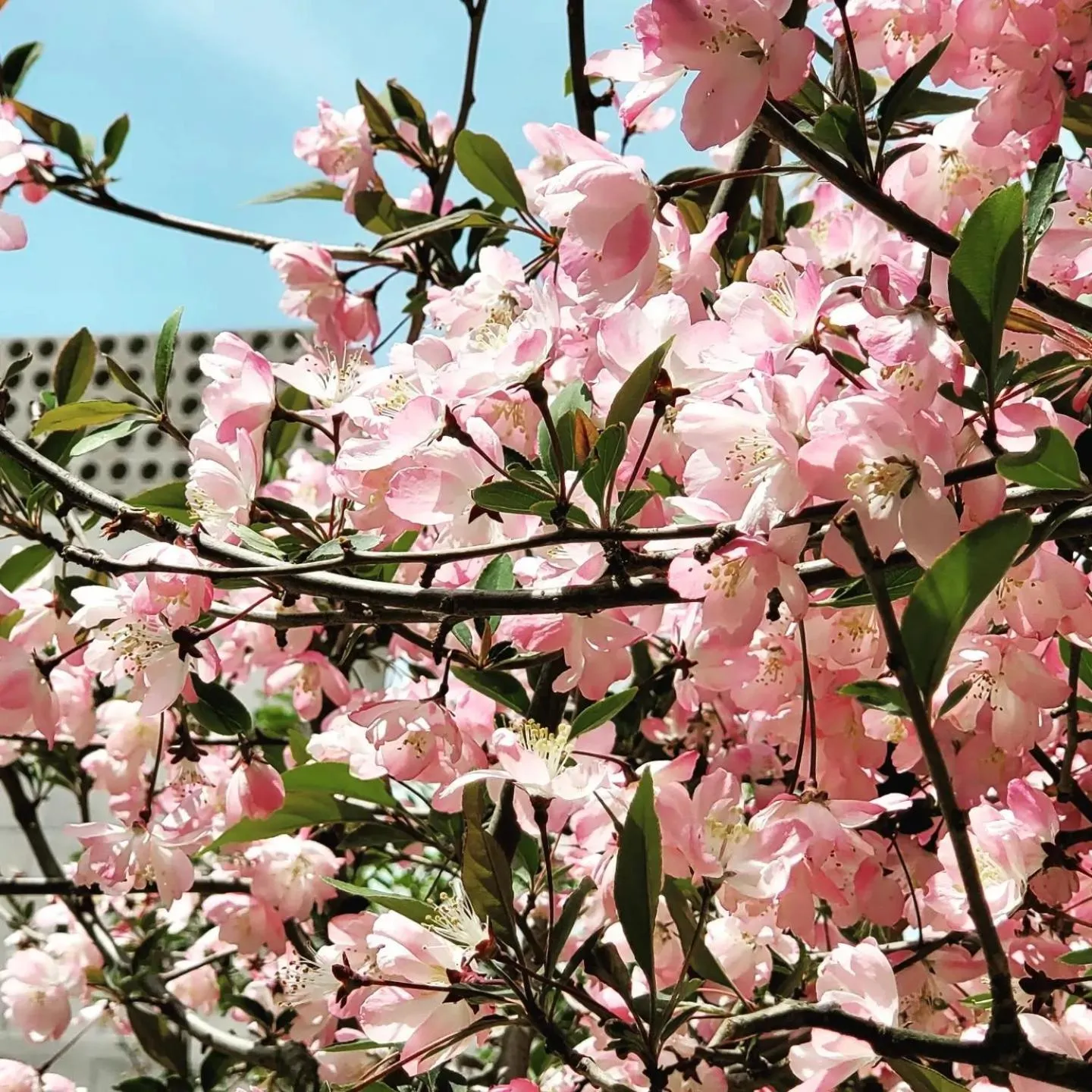 Chuncheon Onda Poolvilla