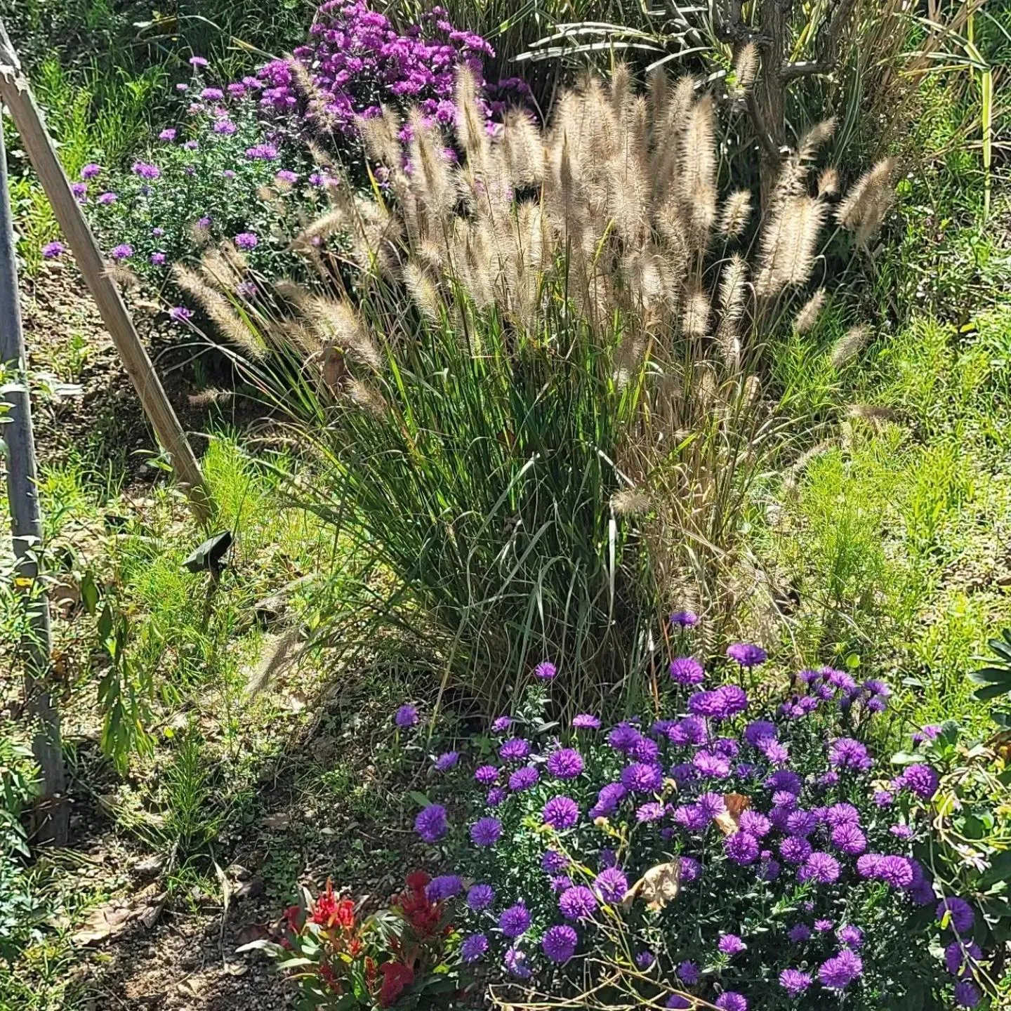 Chuncheon Onda Poolvilla