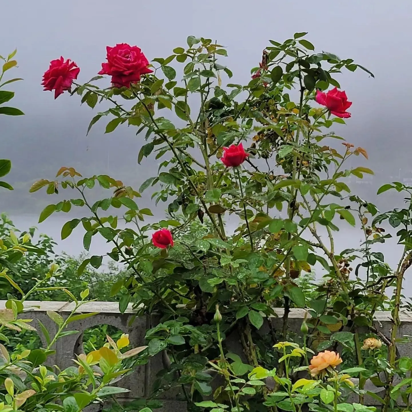 Chuncheon Onda Poolvilla