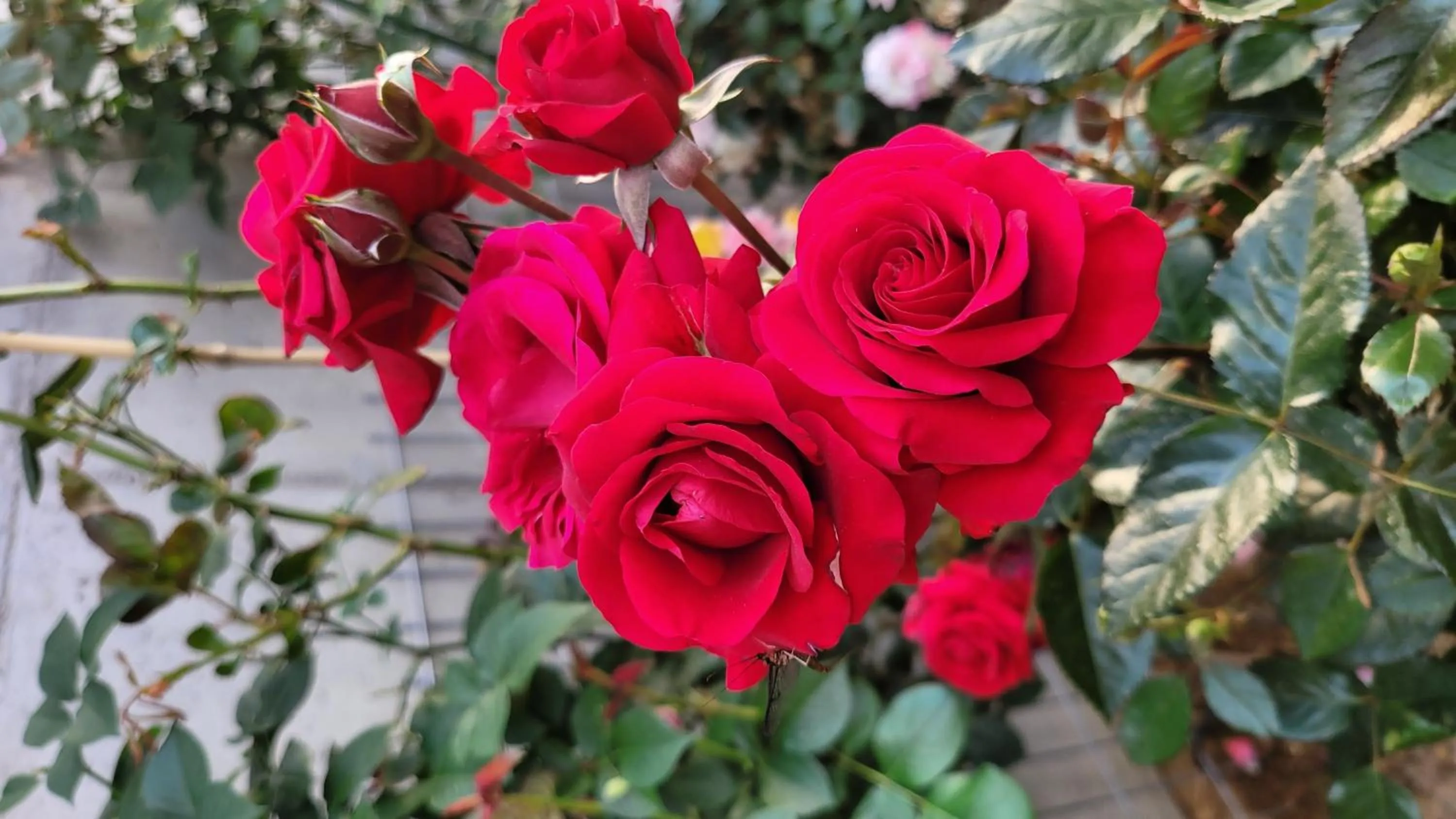 Chuncheon Onda Poolvilla