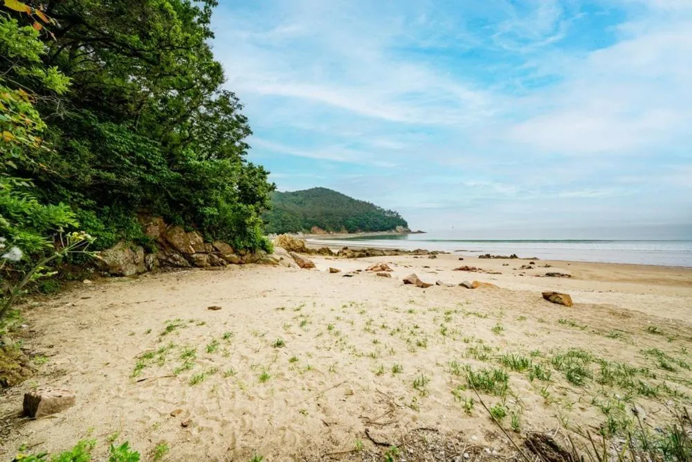 Bakripo Badawa Padosori Camping pension