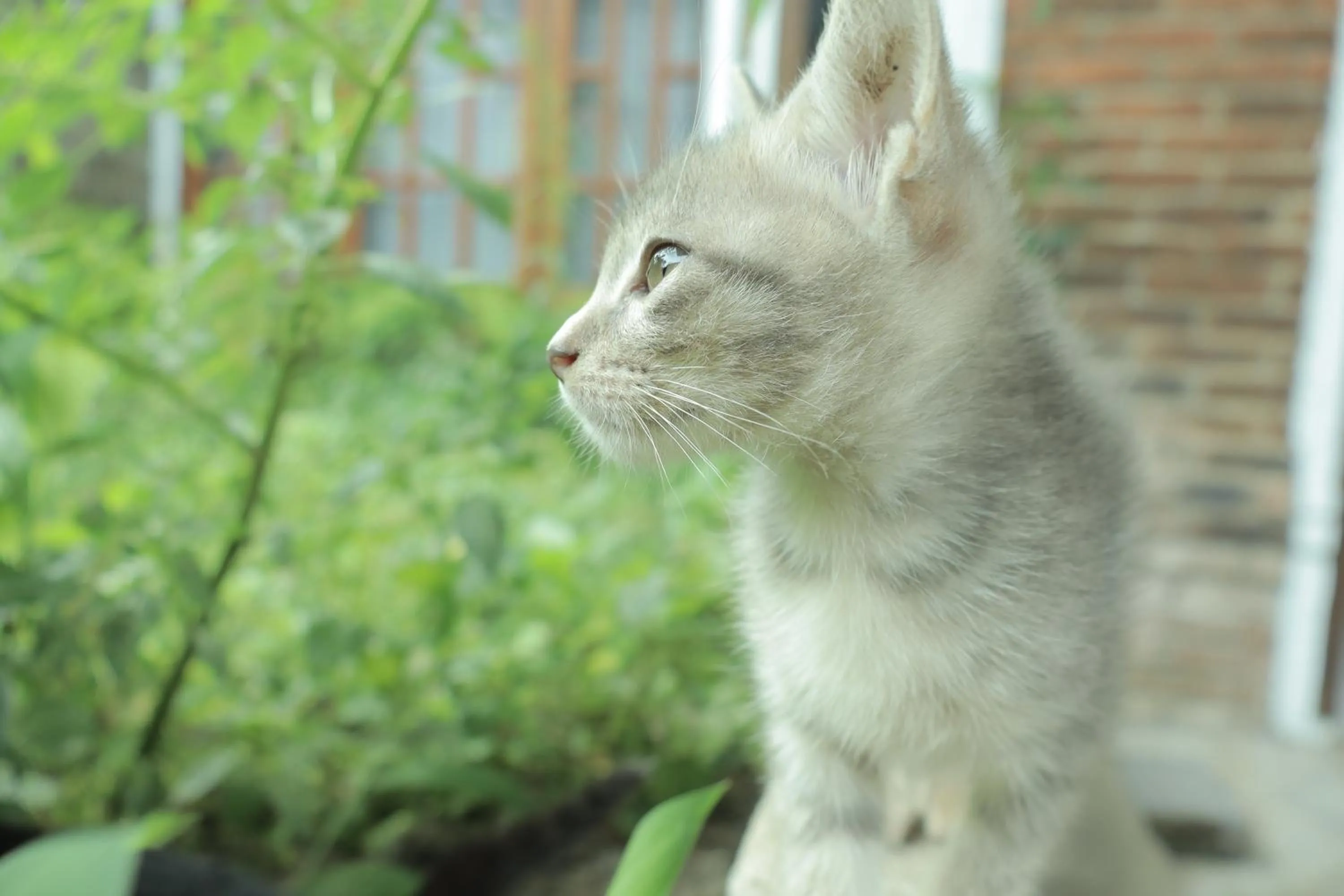 Chrisma Bed and Breakfast