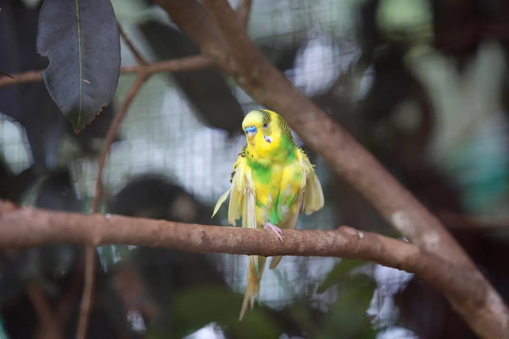 Property building in SandalMist Resort and Spa