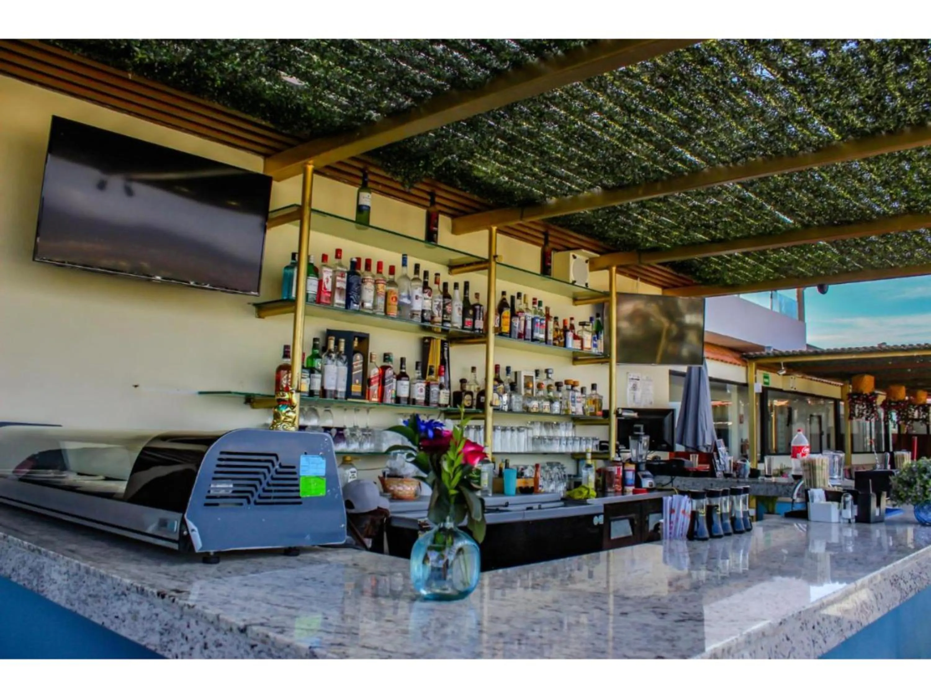 Lounge or bar in Collection O Morgan City Center, Los Cabos