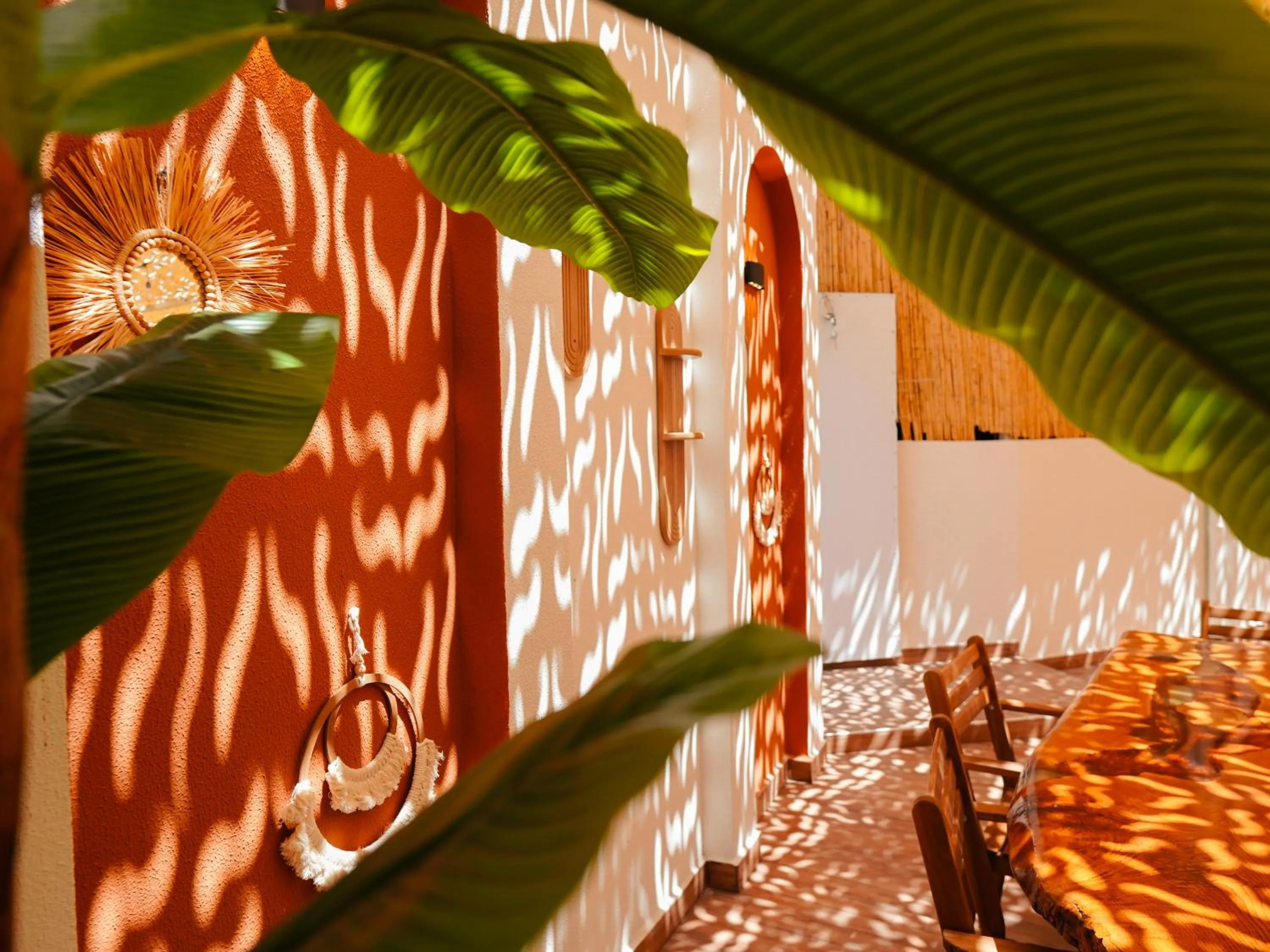 Garden in Bonnie City Hotel