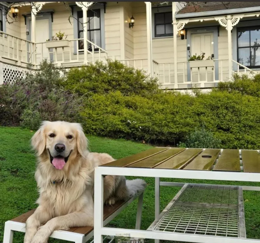 Garden in Dennen's Victorian Farmhouse