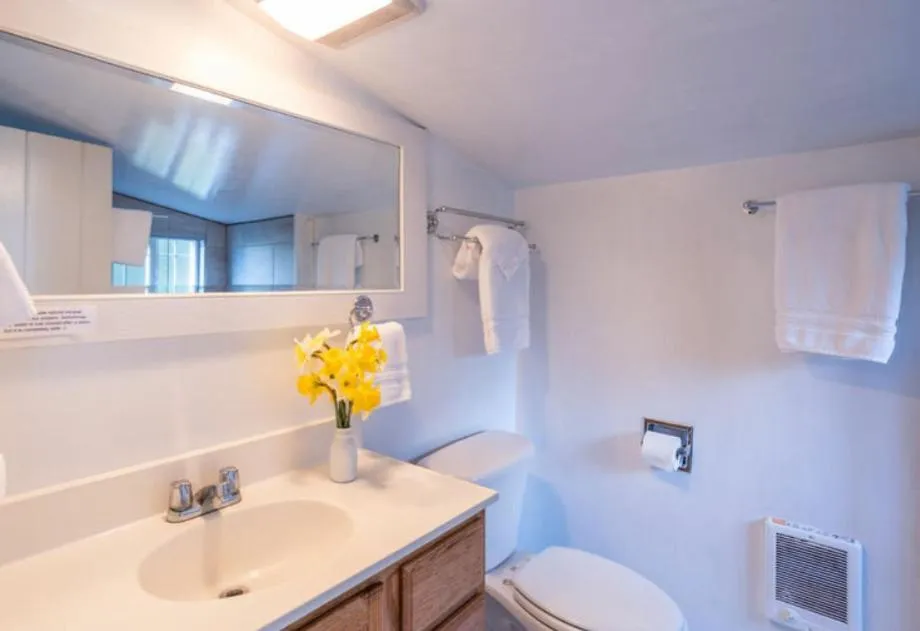 Bathroom in Dennen's Victorian Farmhouse