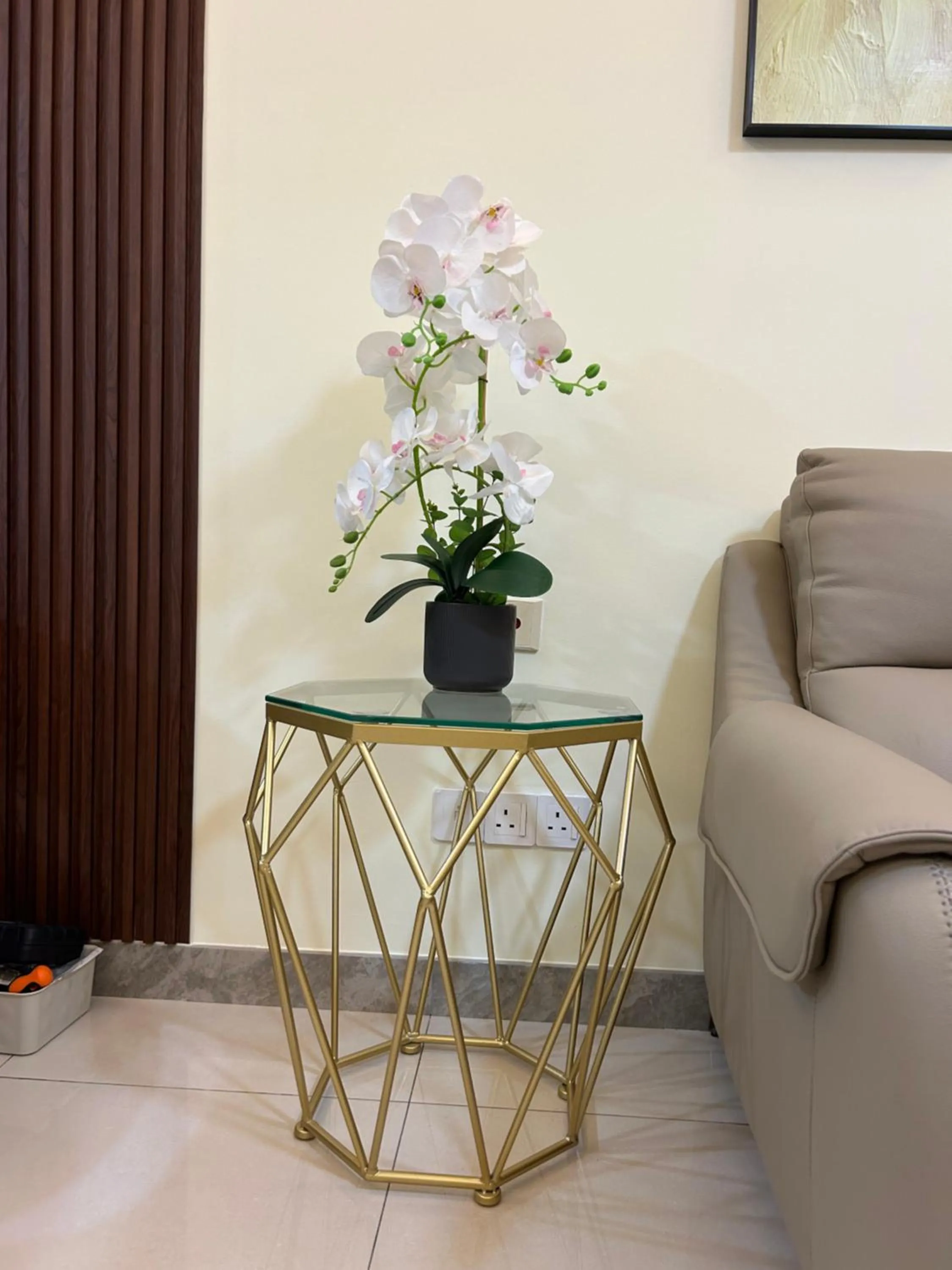 R&F Princess Cove Superior Homestay Nearby CIQ By Han Lin Sojourn