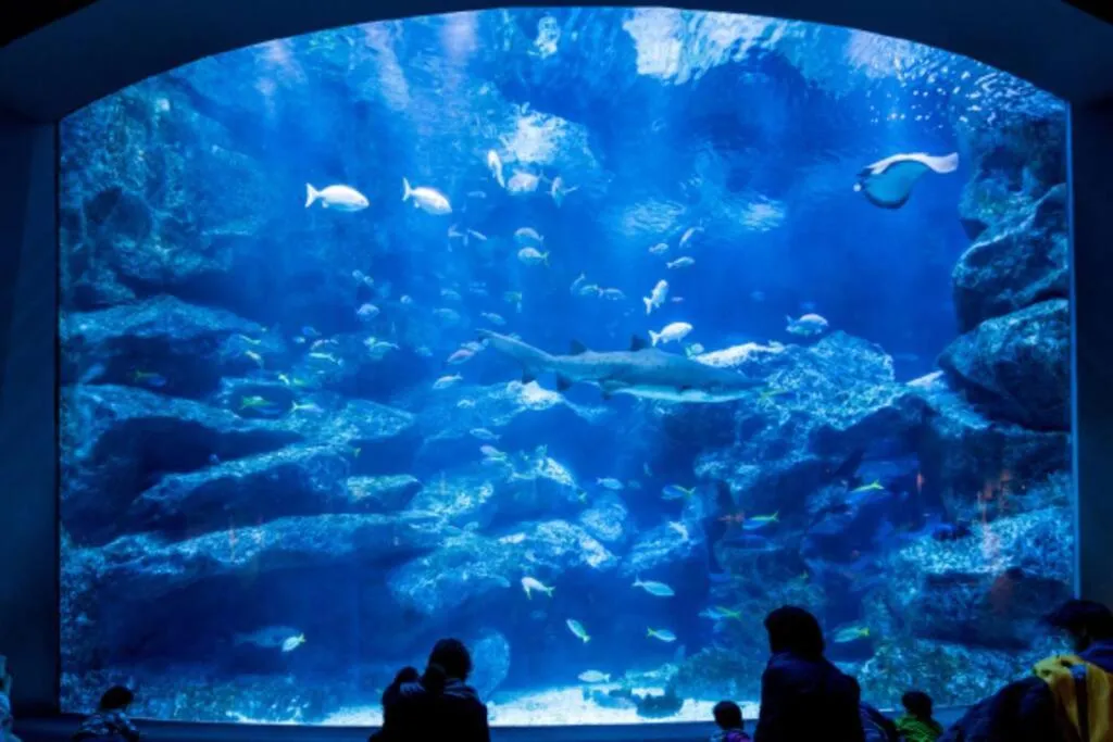 Nearby landmark in Rakuna Inn 遊 Kinshicho