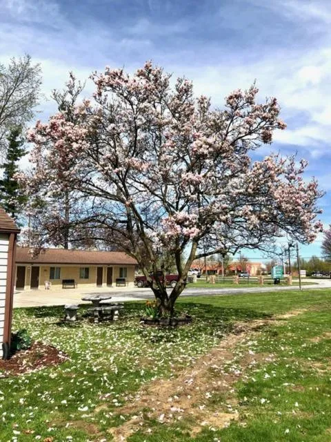 Property building in Gratiot View Motel
