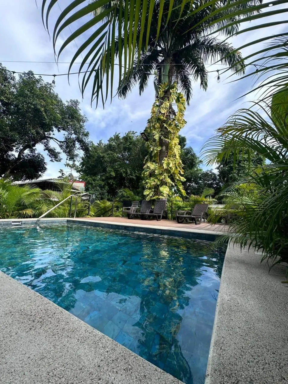 Swimming pool in Hotel Maritza