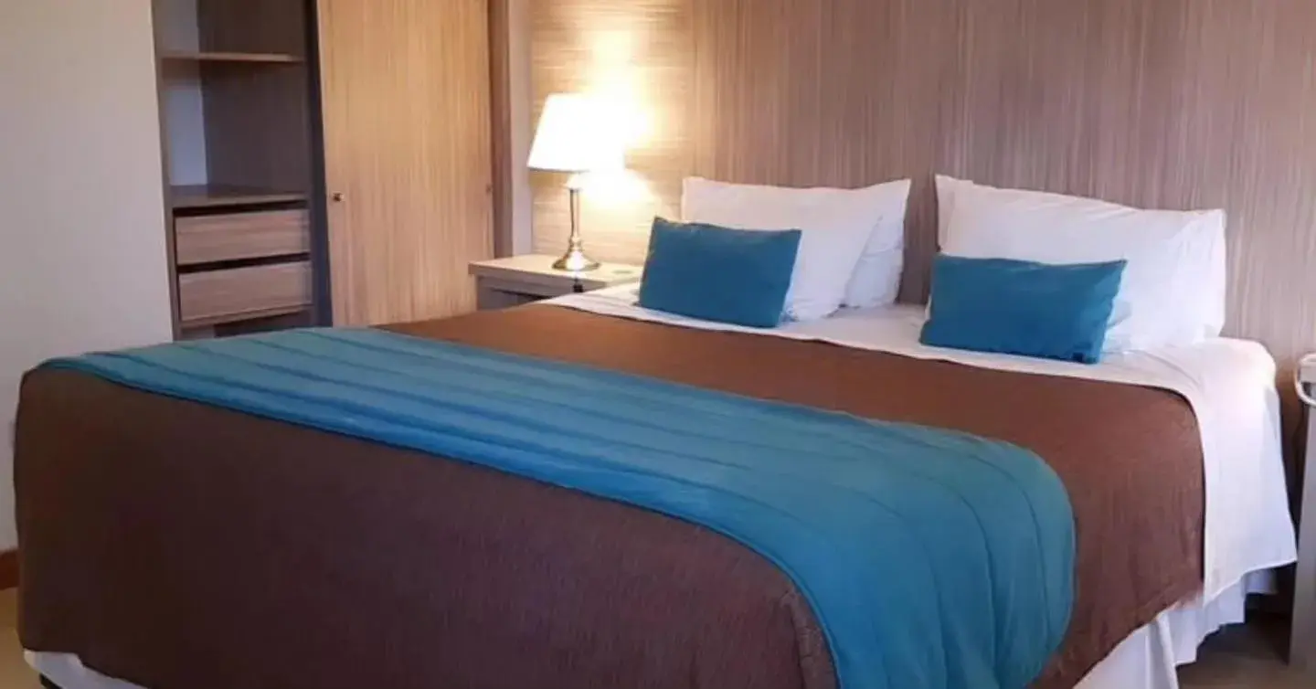 Large Double Room in Hotel D&V Concepción Large Double Room in Hotel D&V Concepción