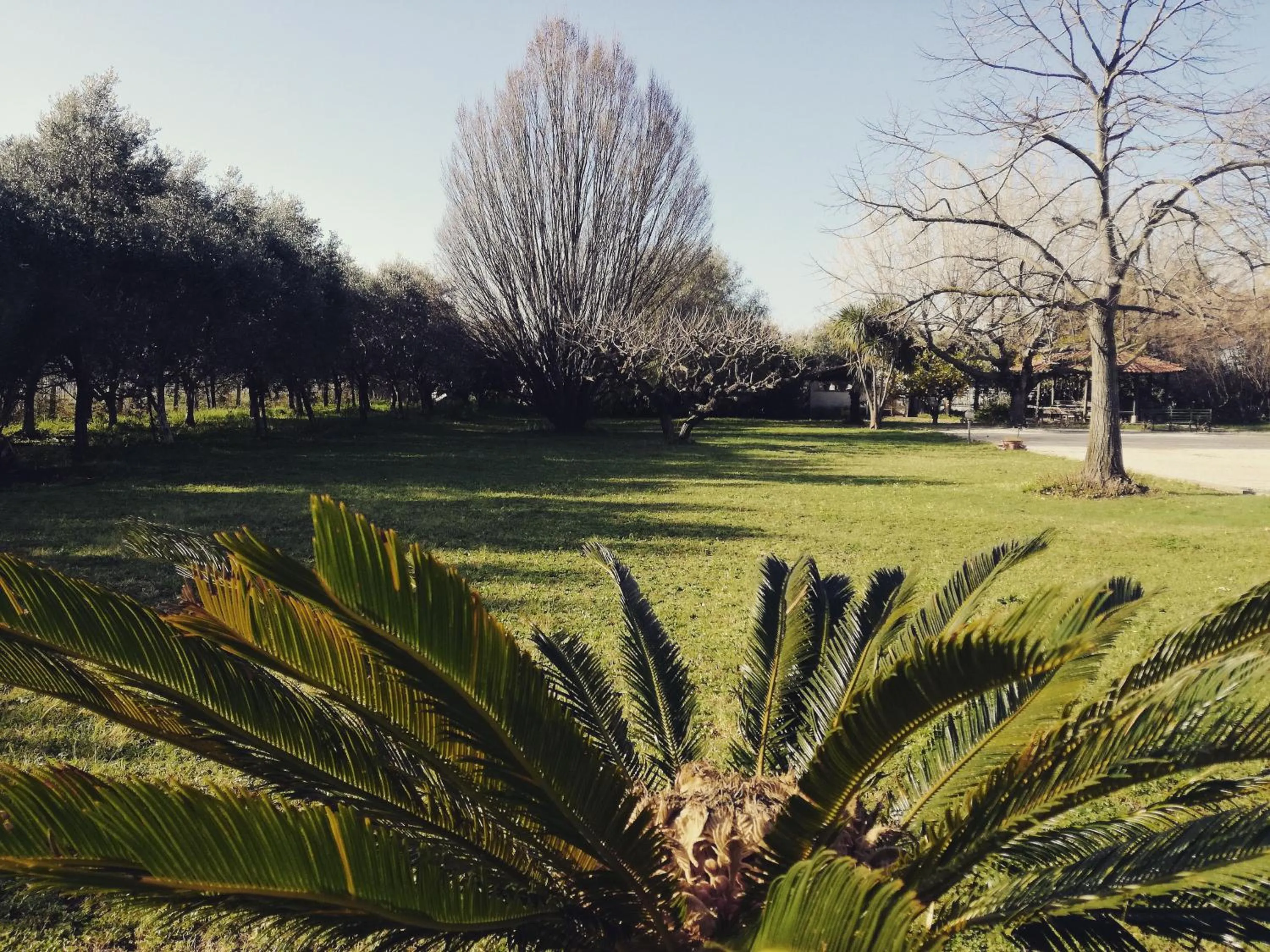 Garden in B&B Villa Napoli