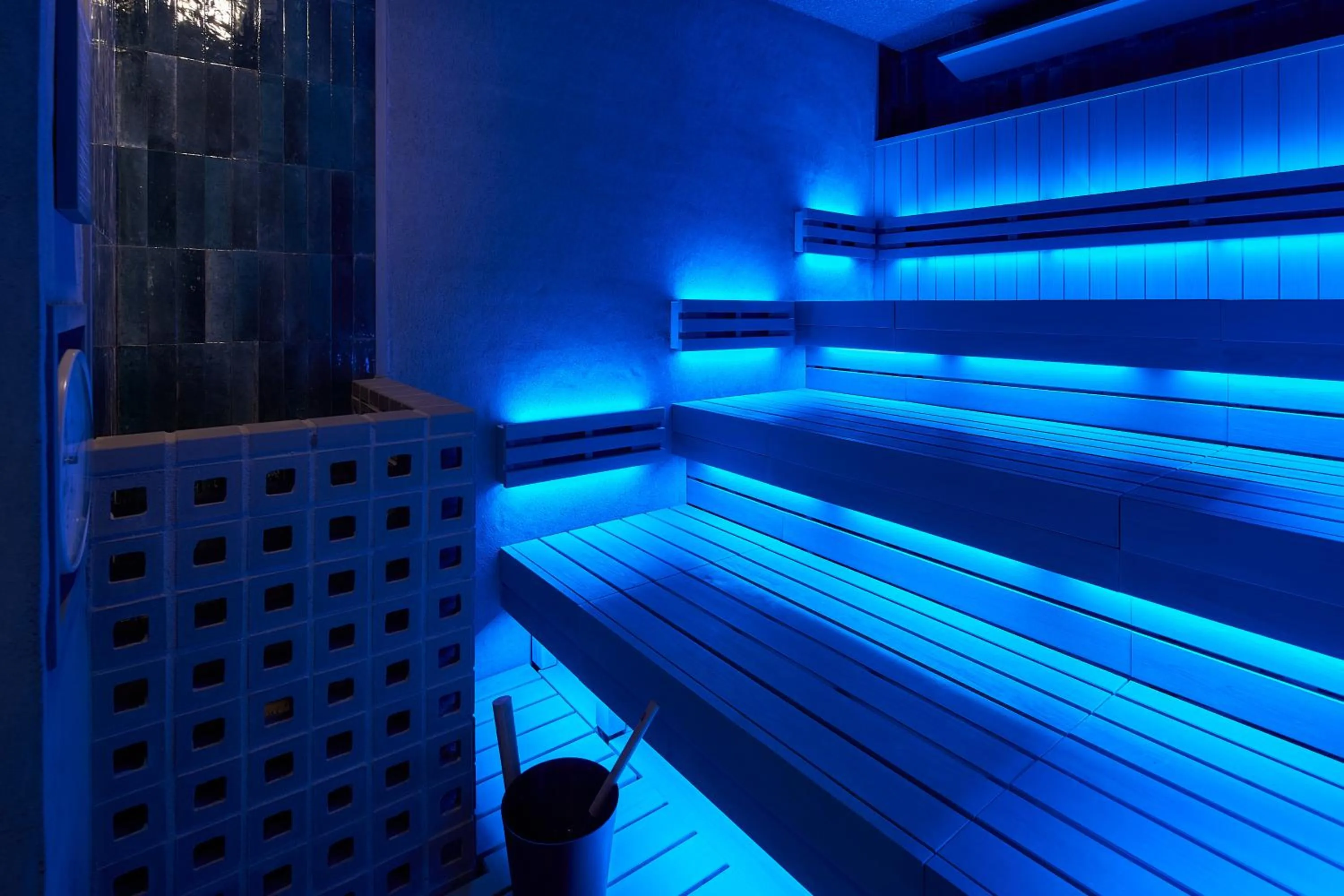 Sauna in FAV LUX Kagoshima Tenmonkan