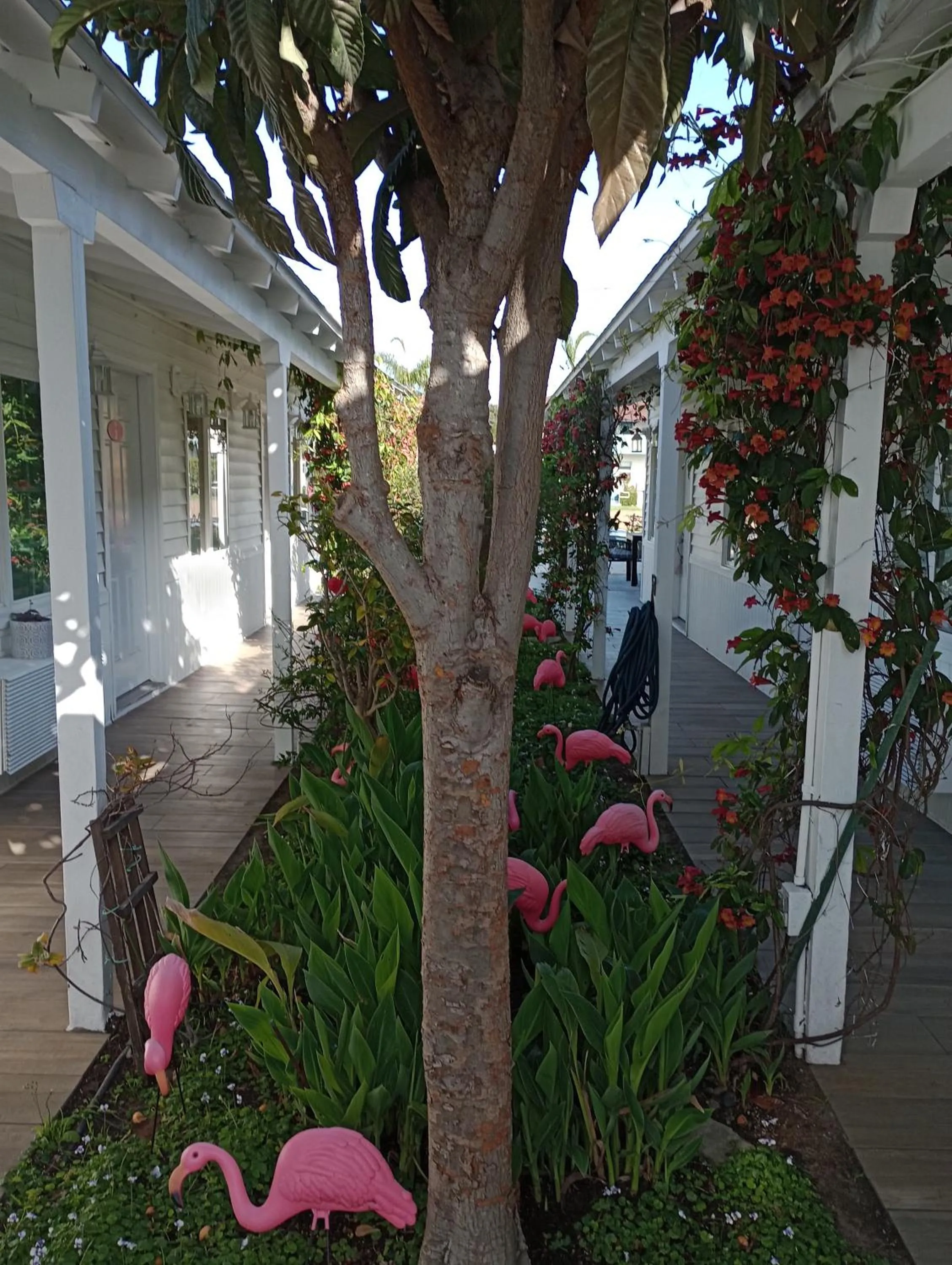 Property building in El Rancho Motel