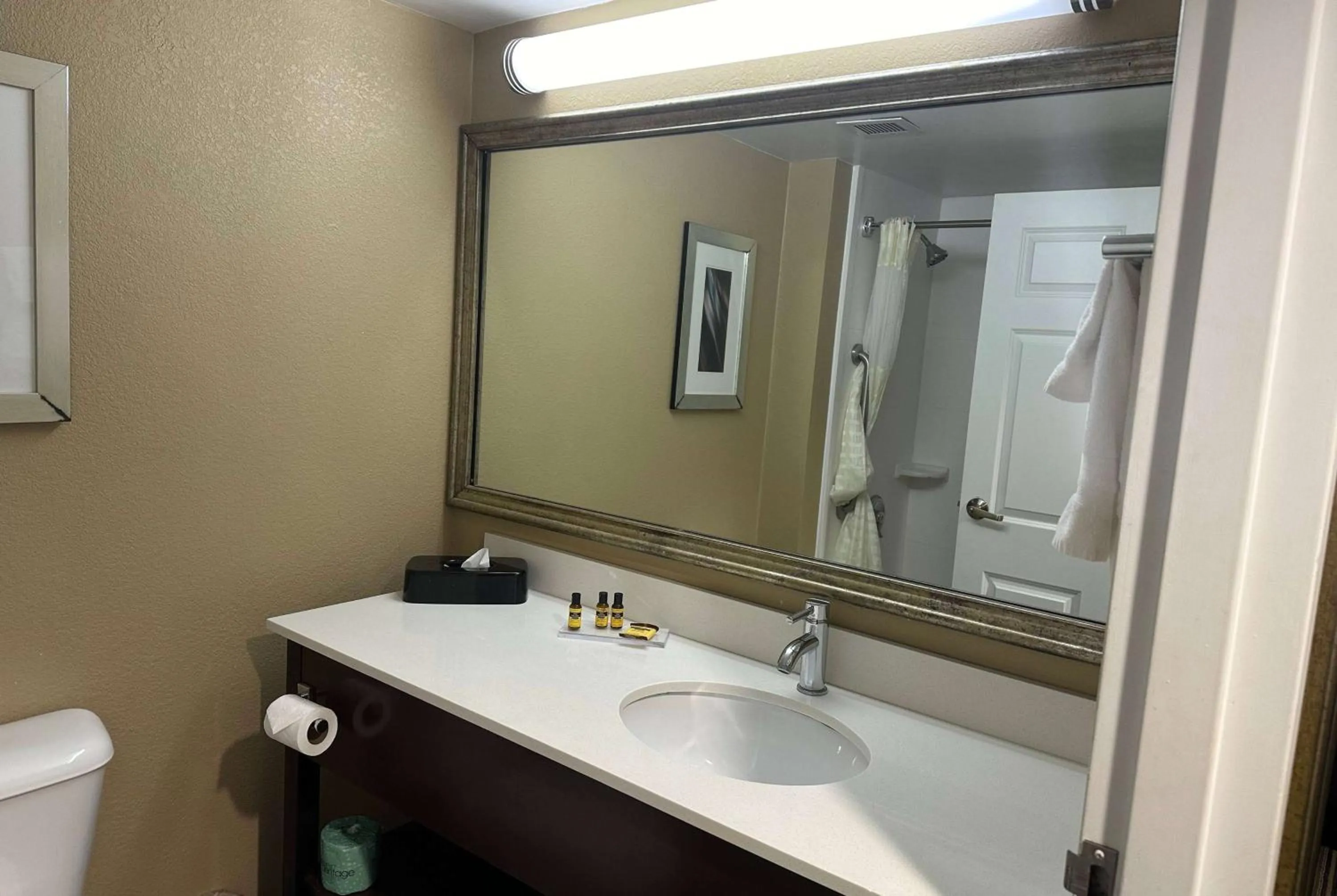 Bathroom in Wingate by Wyndham Harrisburg Near Hershey