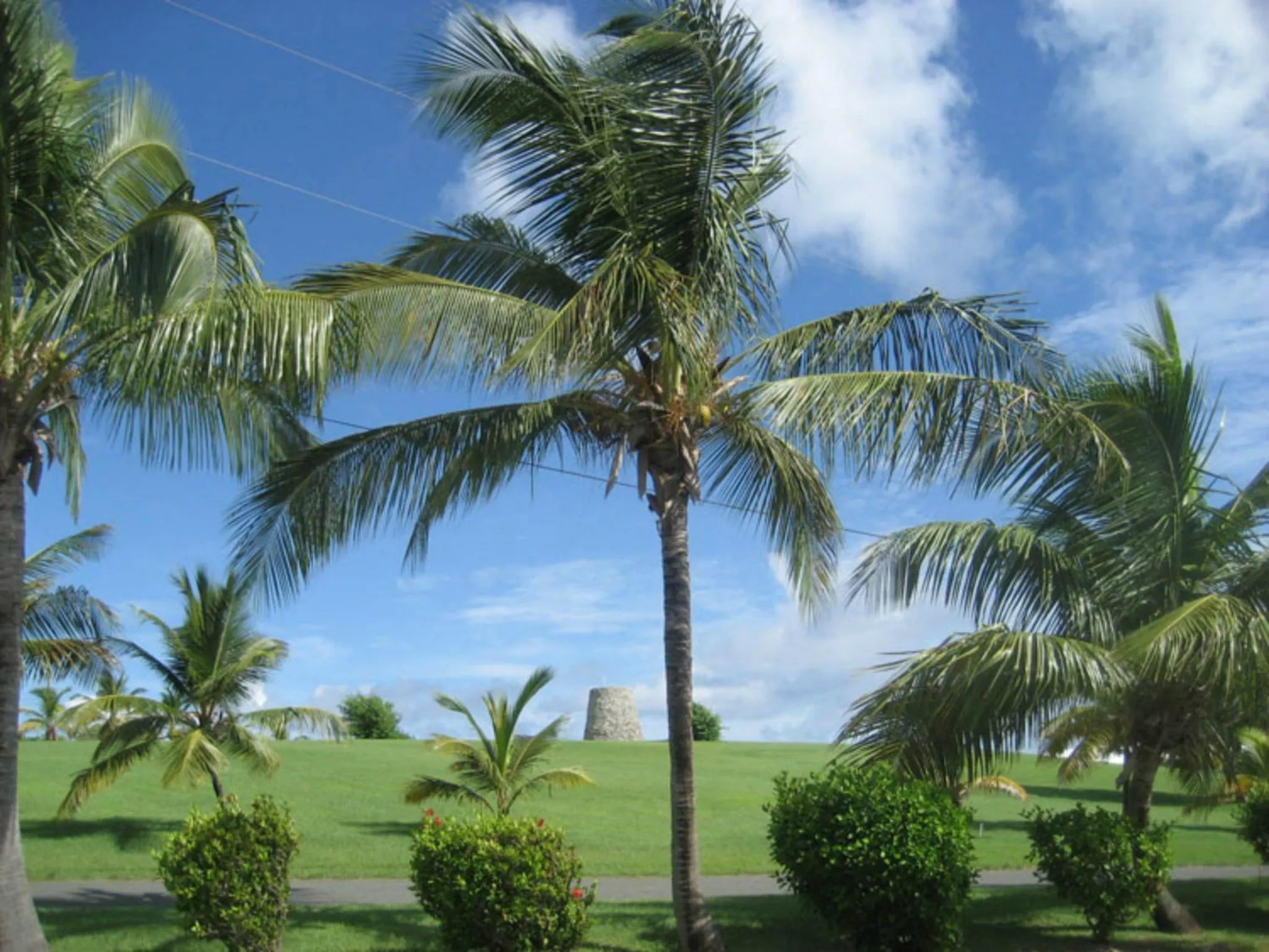 Area and facilities in Tamarind Reef Resort Spa & Marina