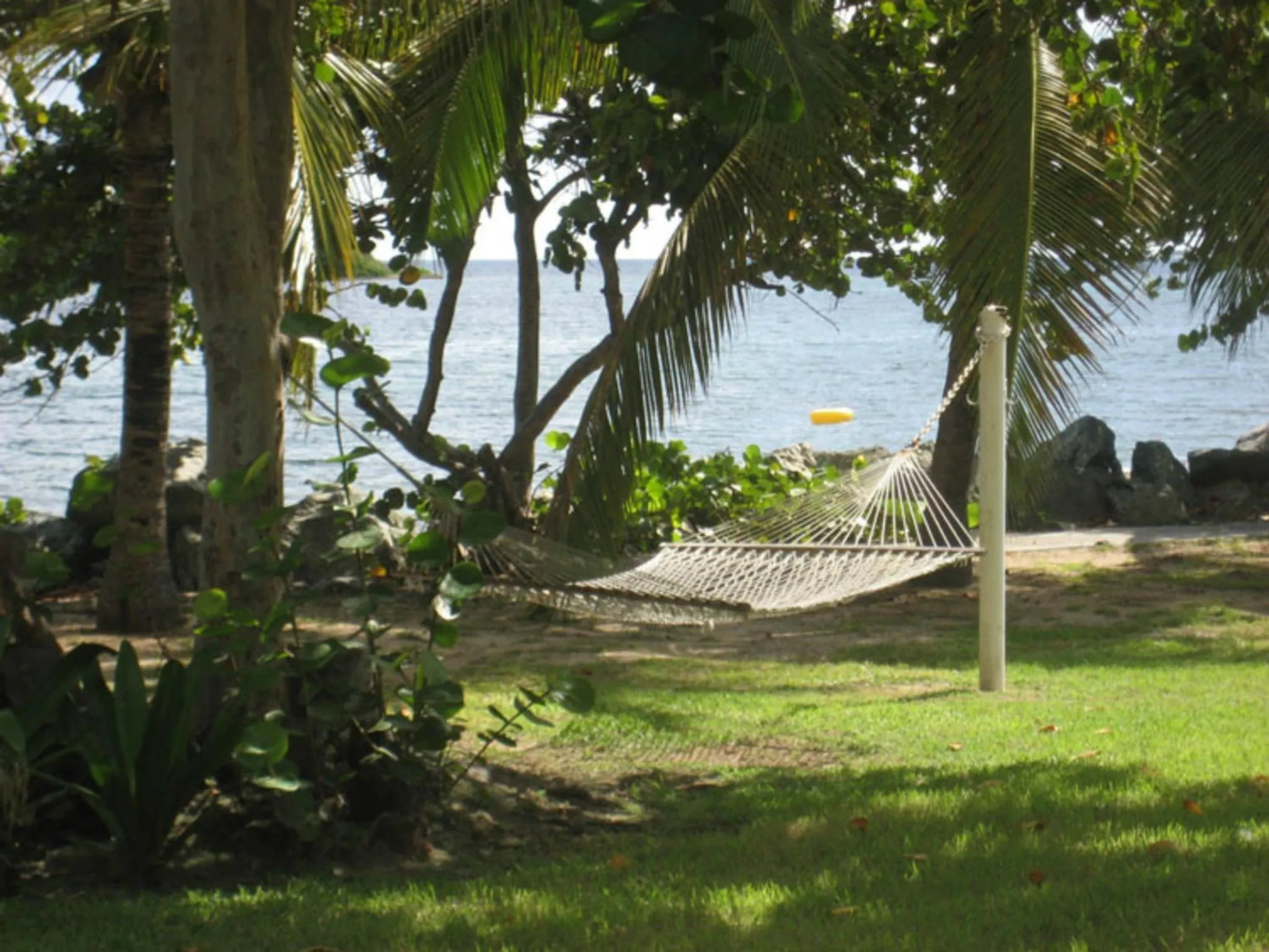 Area and facilities in Tamarind Reef Resort Spa & Marina