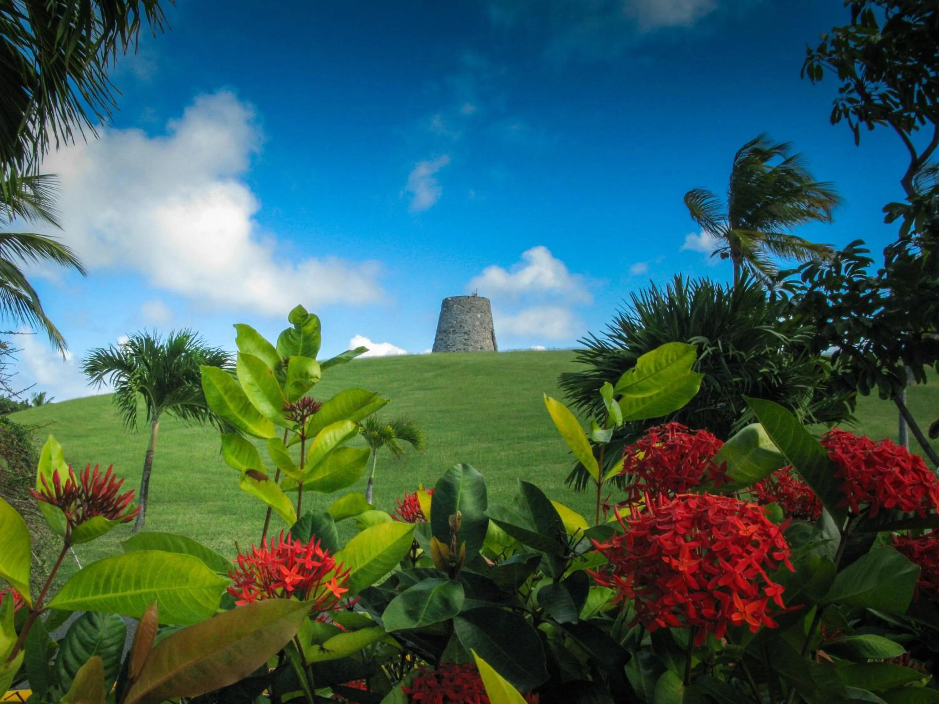 Natural landscape in Tamarind Reef Resort Spa & Marina