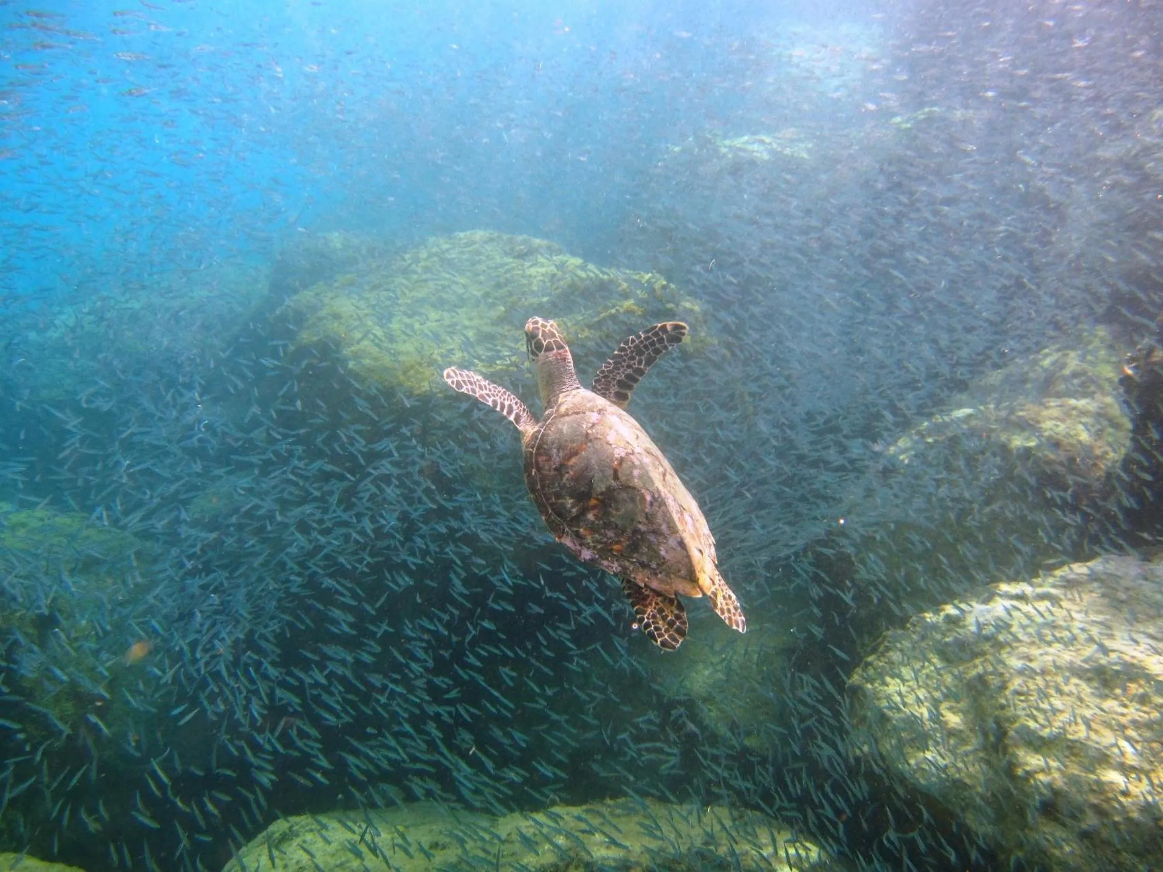 Other in Tamarind Reef Resort Spa & Marina