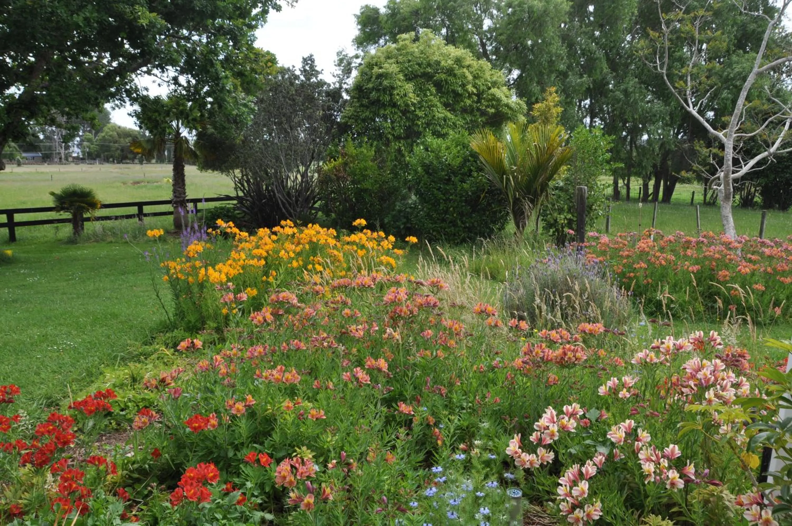 Garden in Jacaranda Lodge
