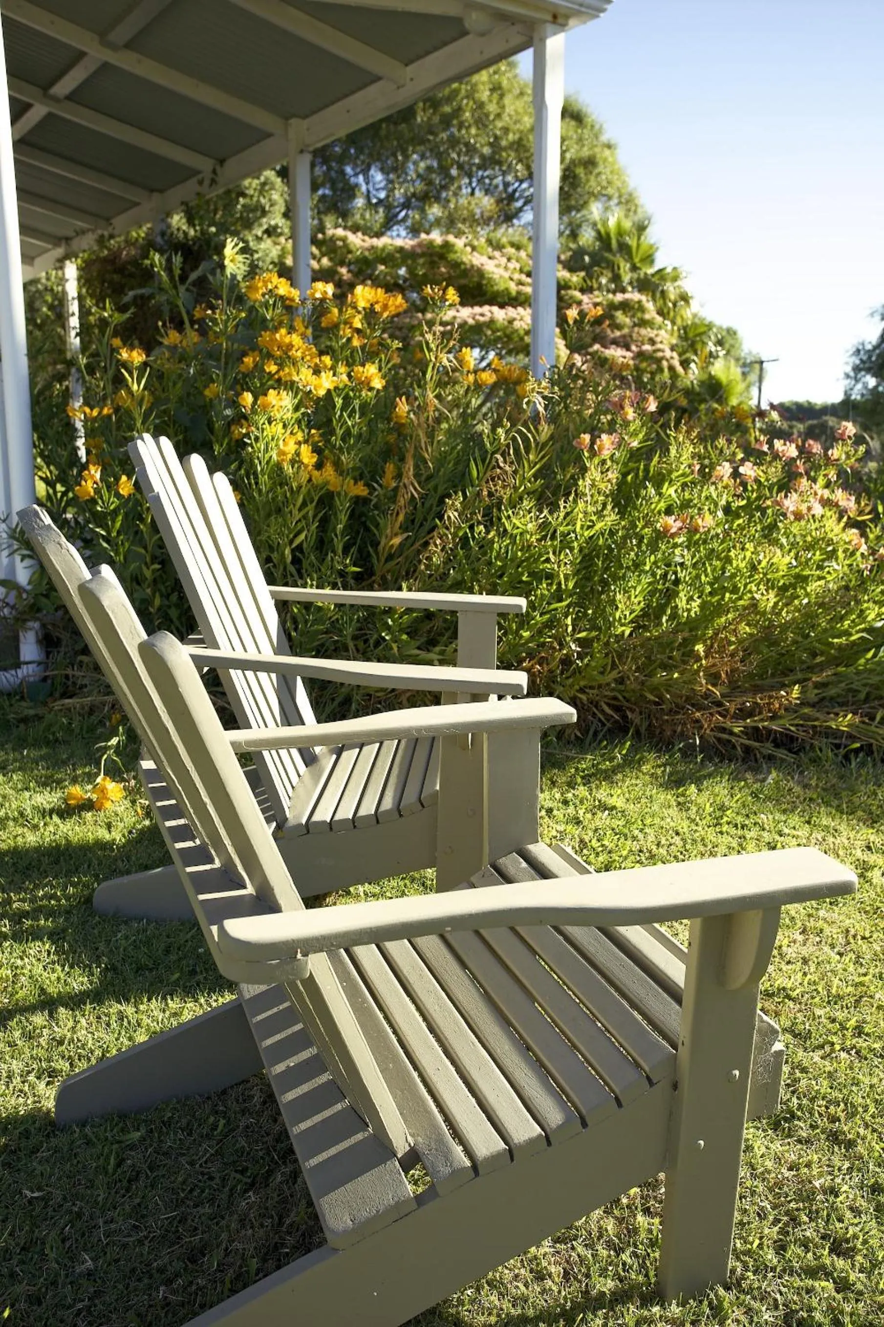 Patio in Jacaranda Lodge