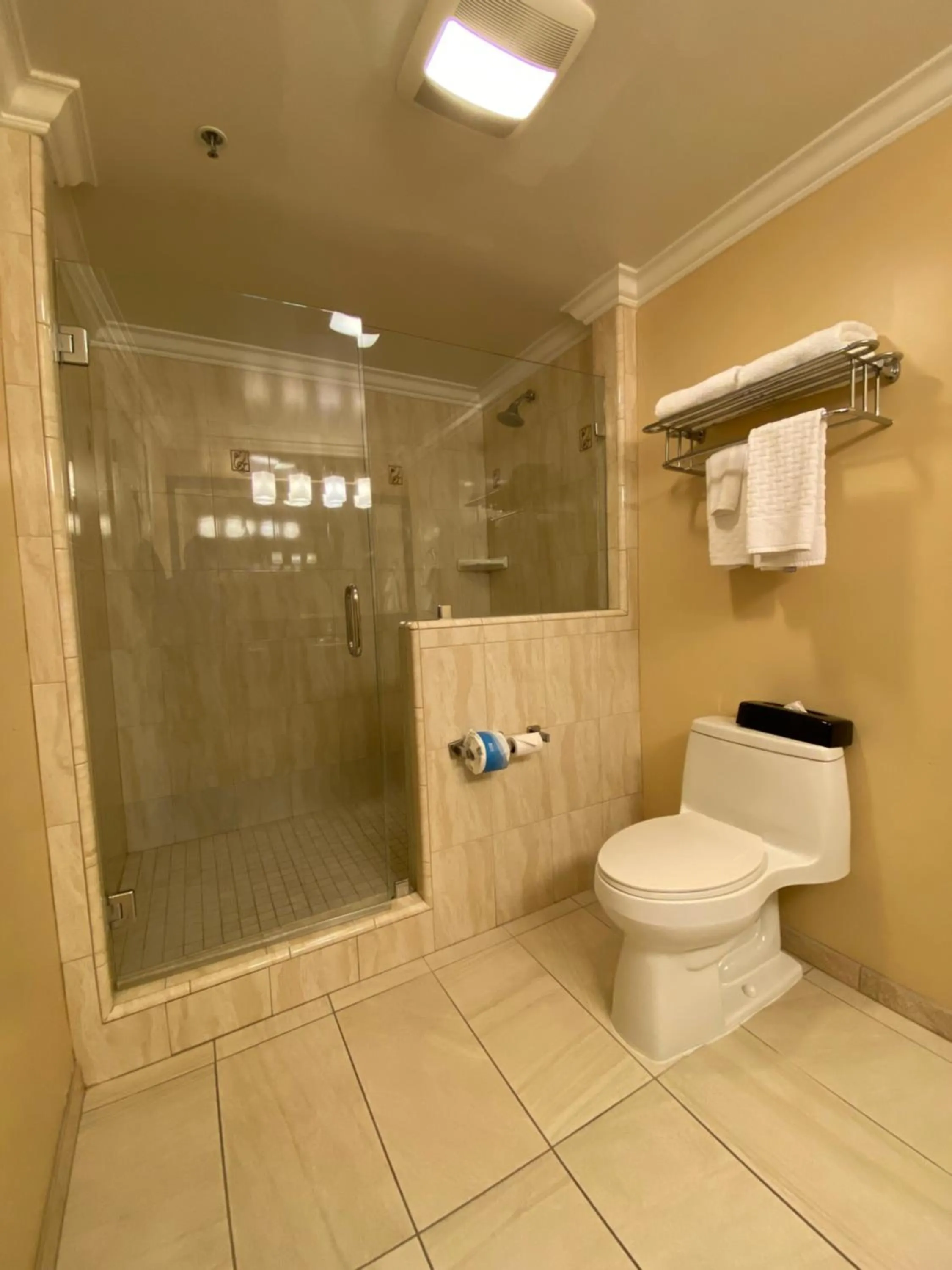 Shower in Best Western Plus Airport Plaza