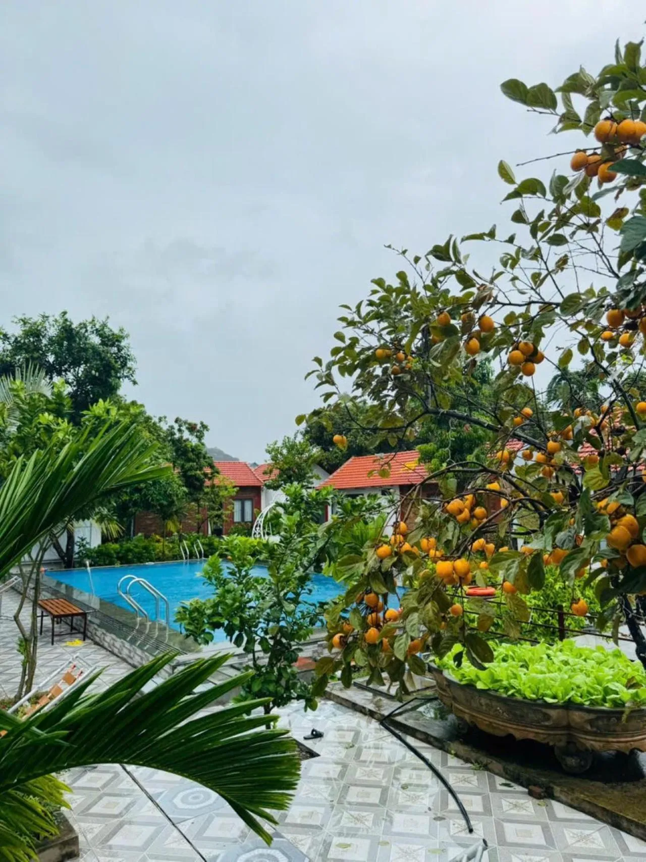 Property building in Tam Coc Minh Quan Bungalow & Homestay