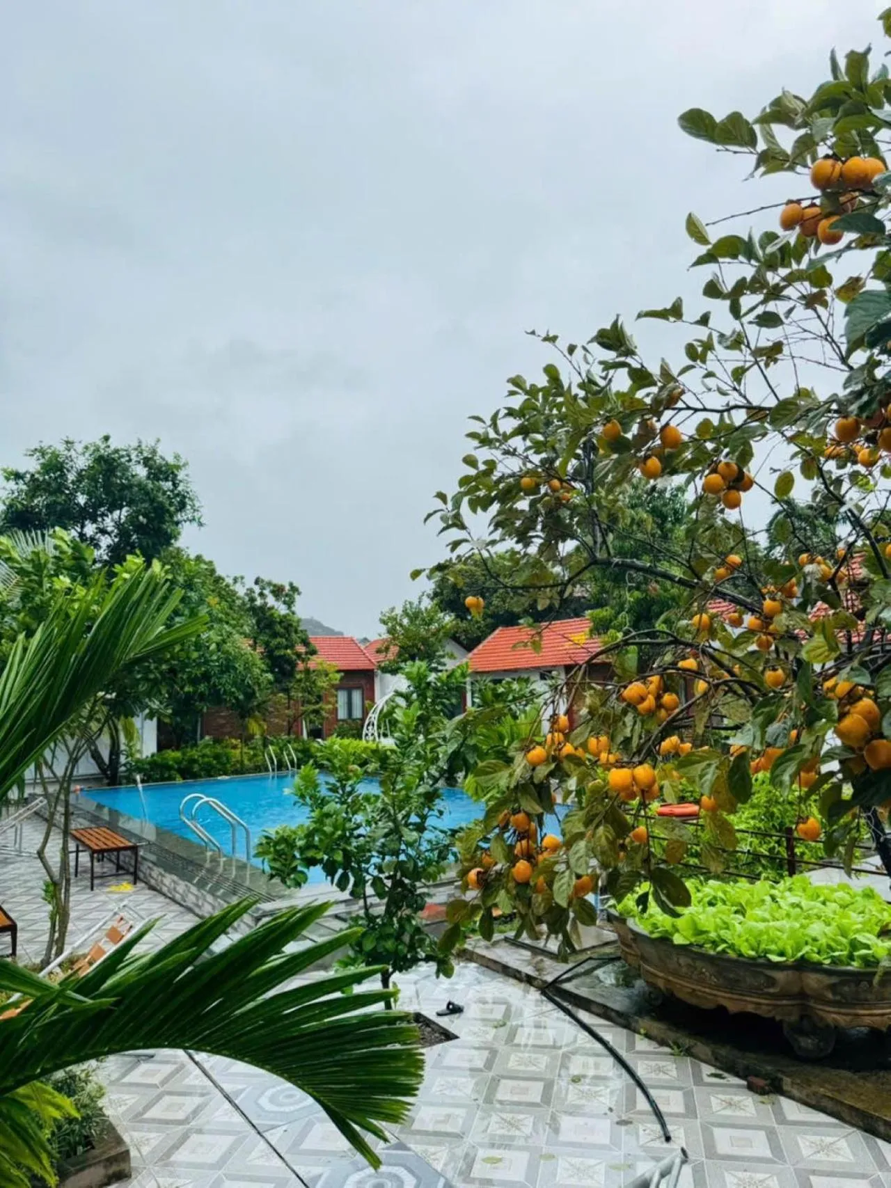 Pool view in Tam Coc Minh Quan Bungalow & Homestay