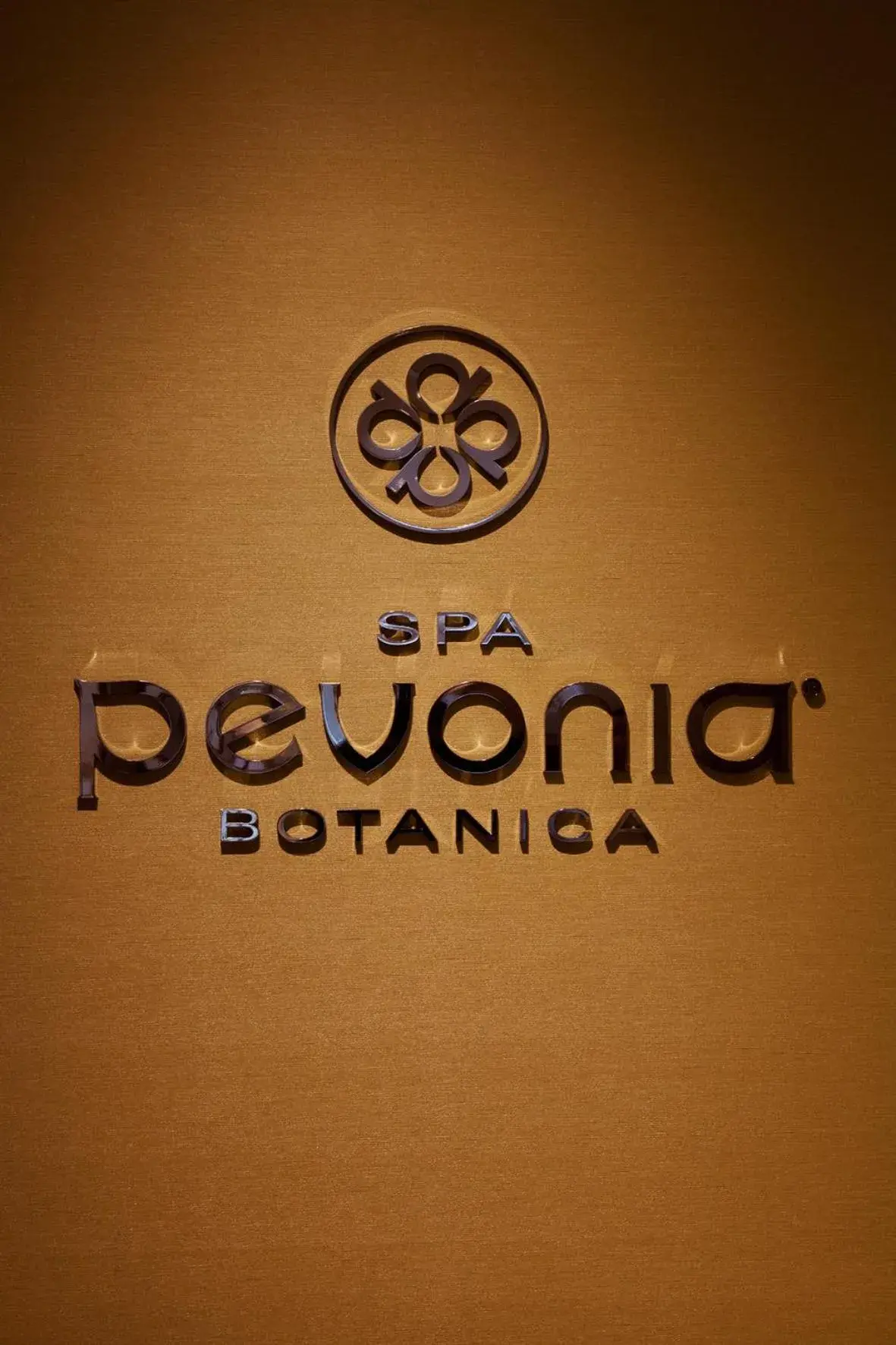 Spa and wellness centre/facilities in Nippondaira Hotel Spa and wellness centre/facilities in Nippondaira Hotel