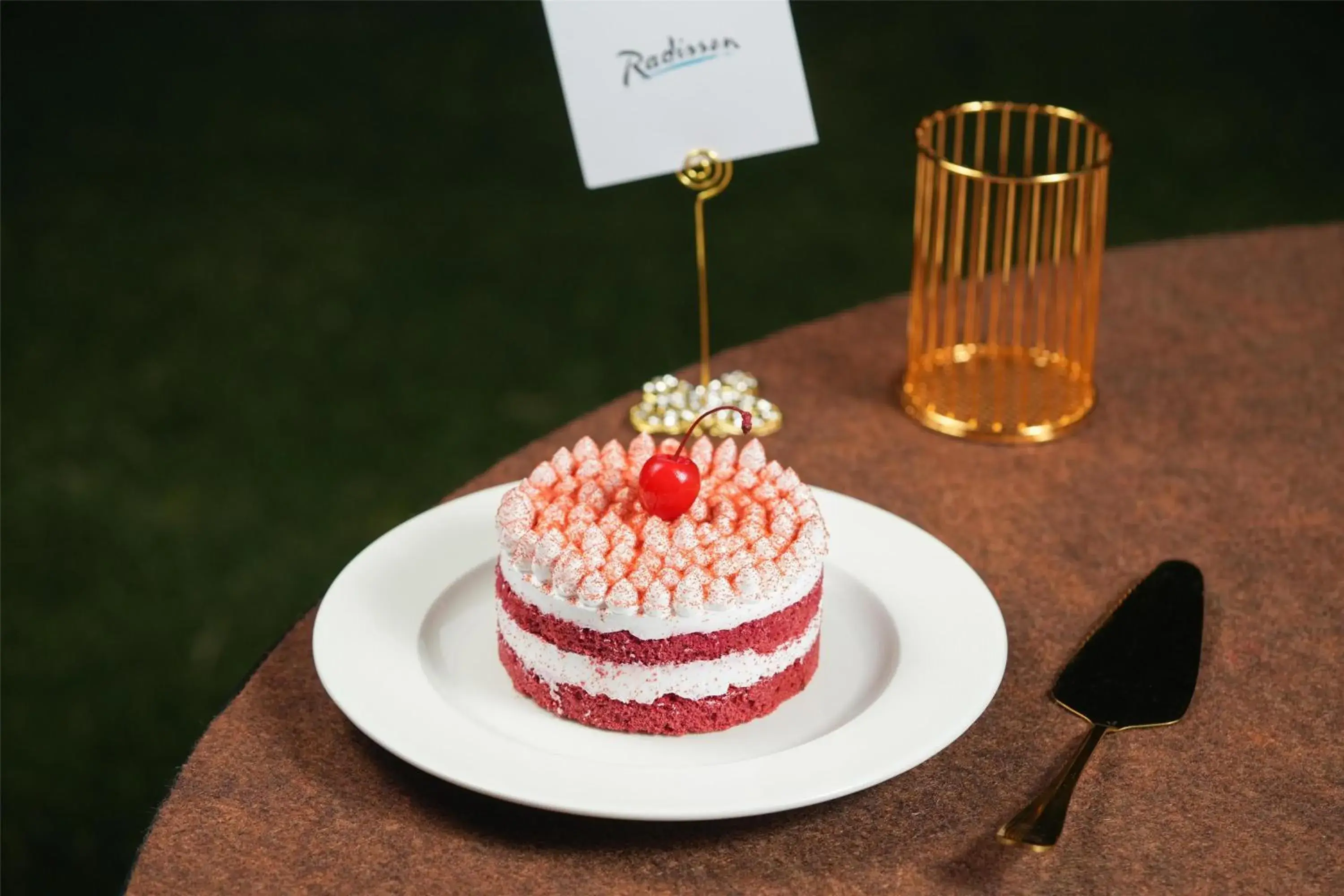 Food and drinks in Radisson Hotel Vrindavan Food and drinks in Radisson Hotel Vrindavan