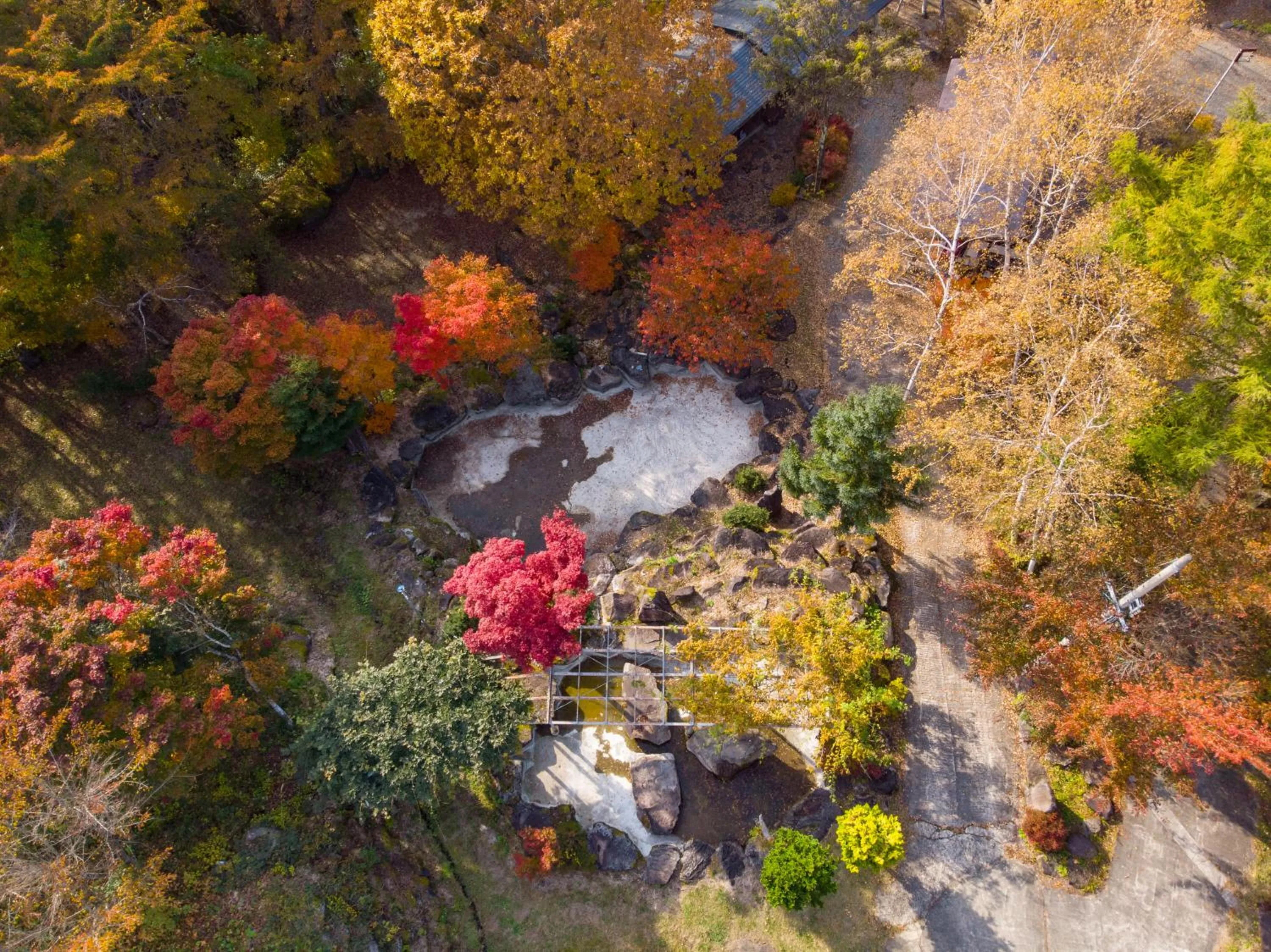Natural landscape in Hotel Tagawa