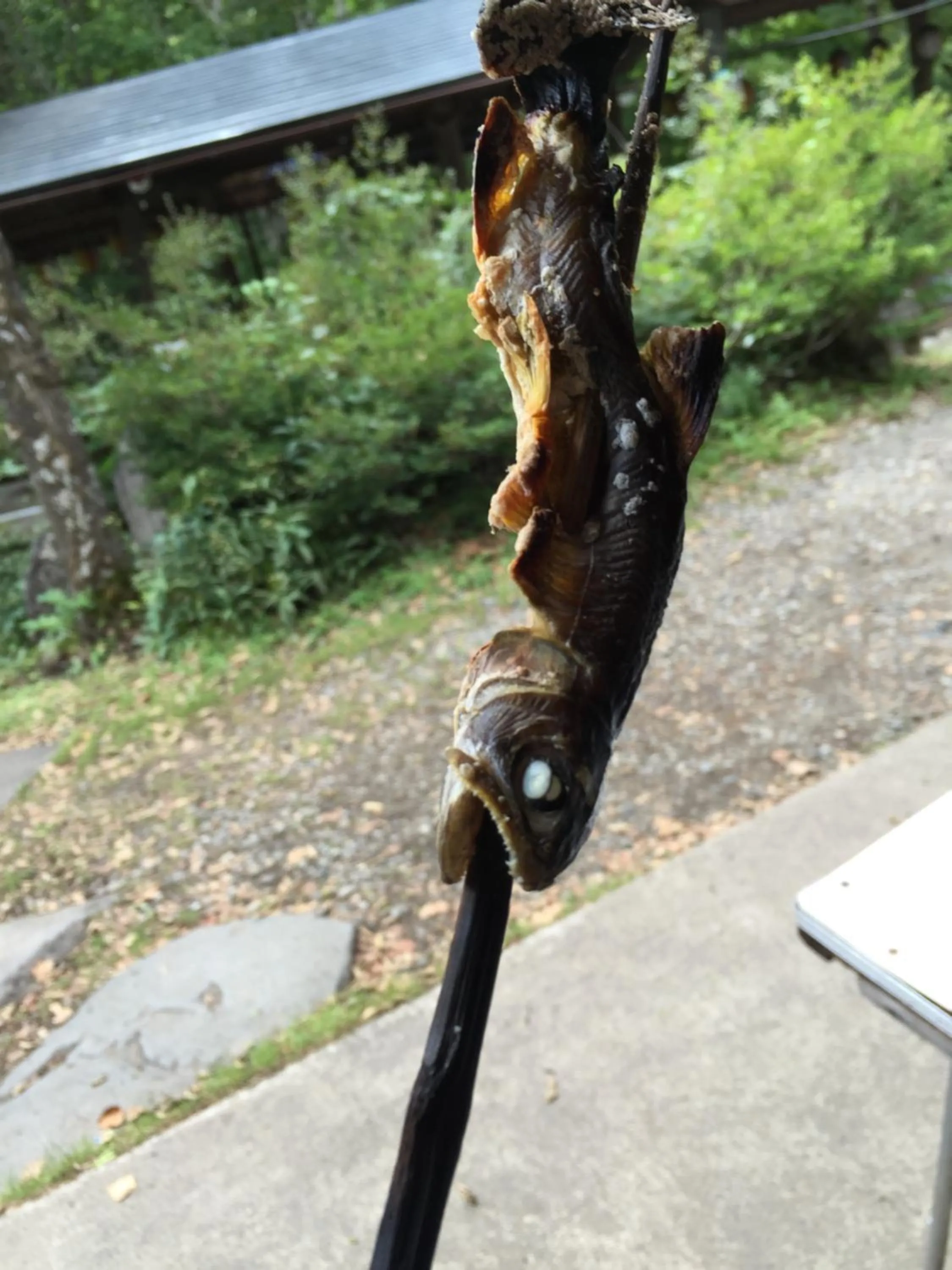 Food in Hotel Tagawa