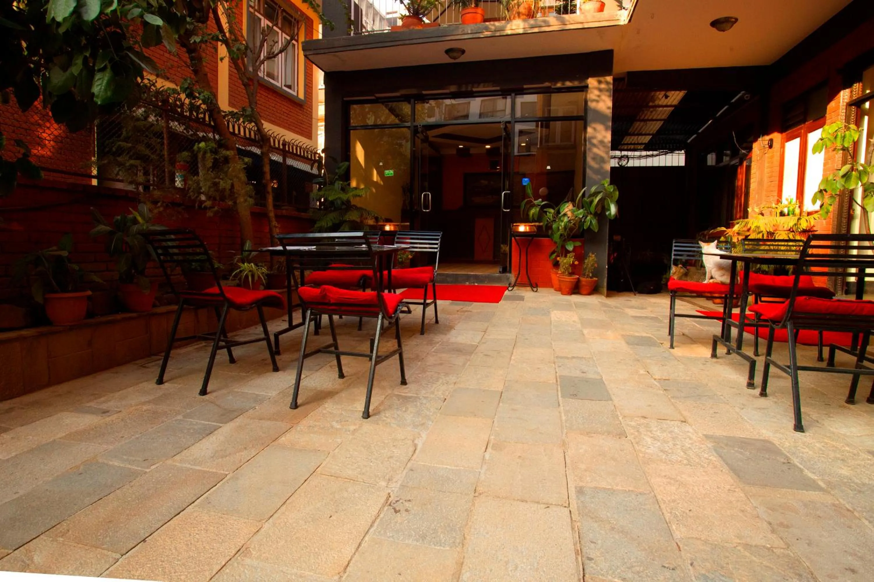 Restaurant/places to eat in Hotel Atlantic