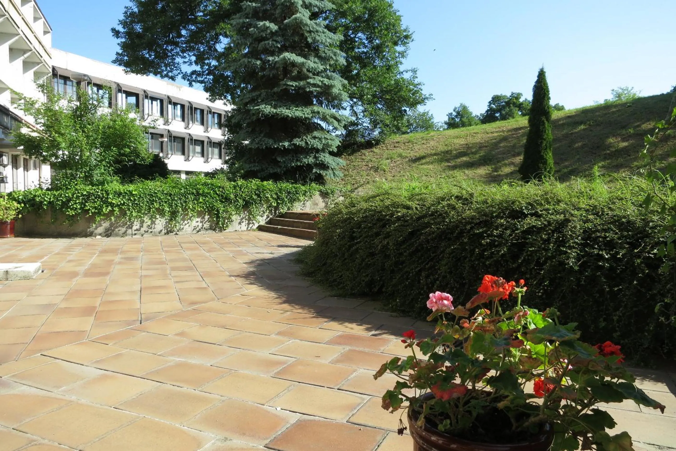 Garden in Retro Hotel Suza