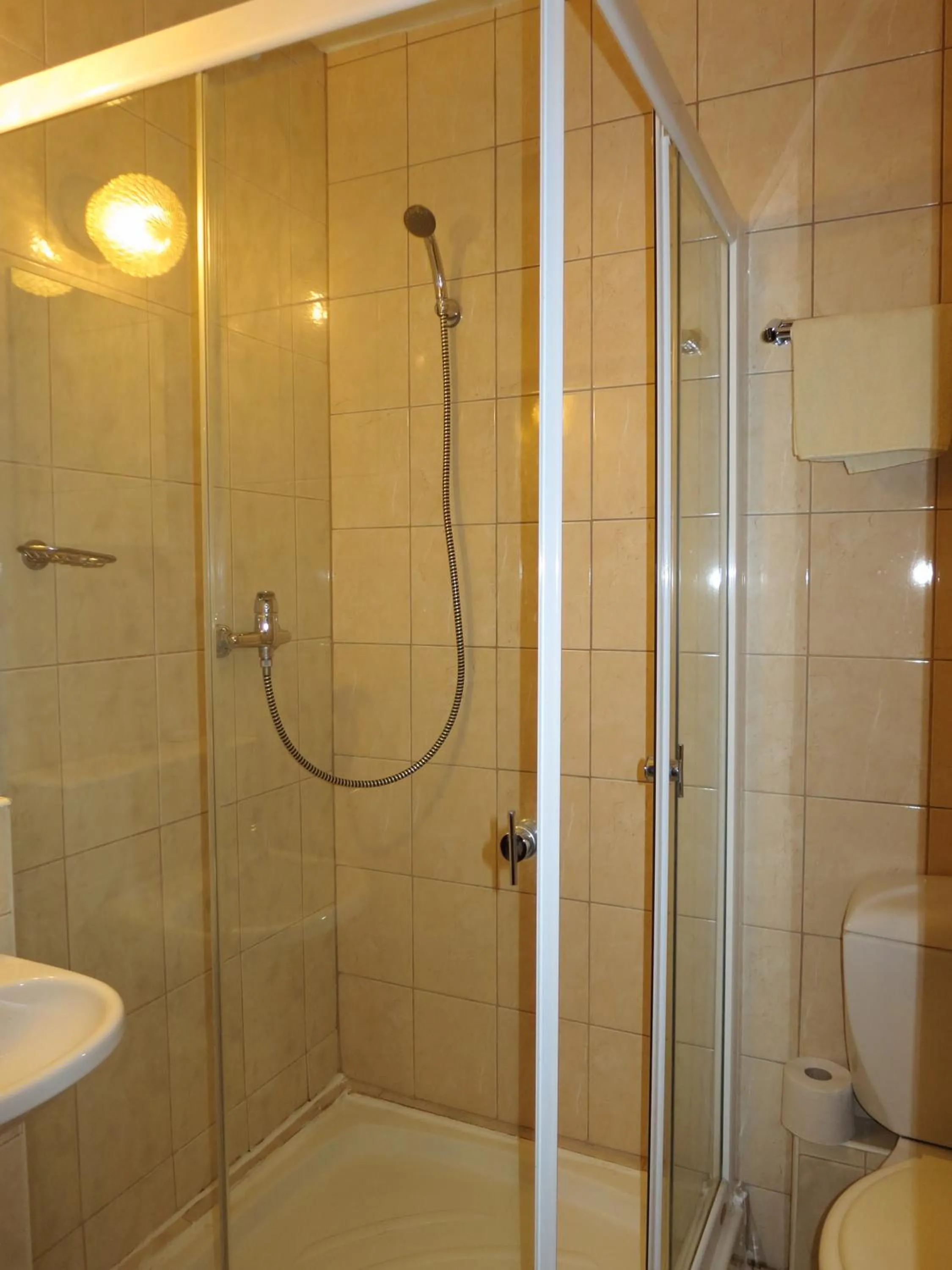 Shower in Retro Hotel Suza