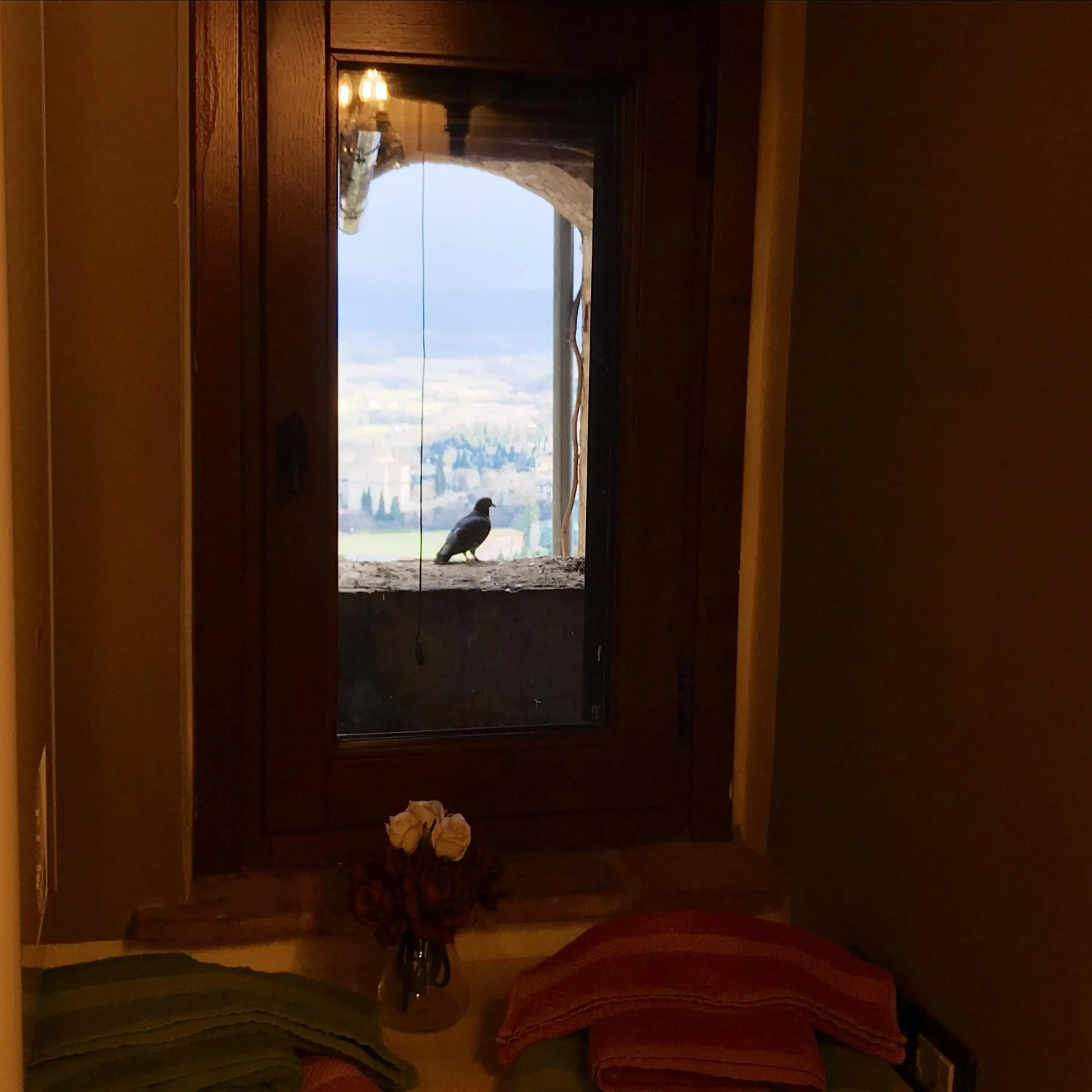 Small Double Room - single occupancy in Residenza Teatro Antico Small Double Room - single occupancy in Residenza Teatro Antico