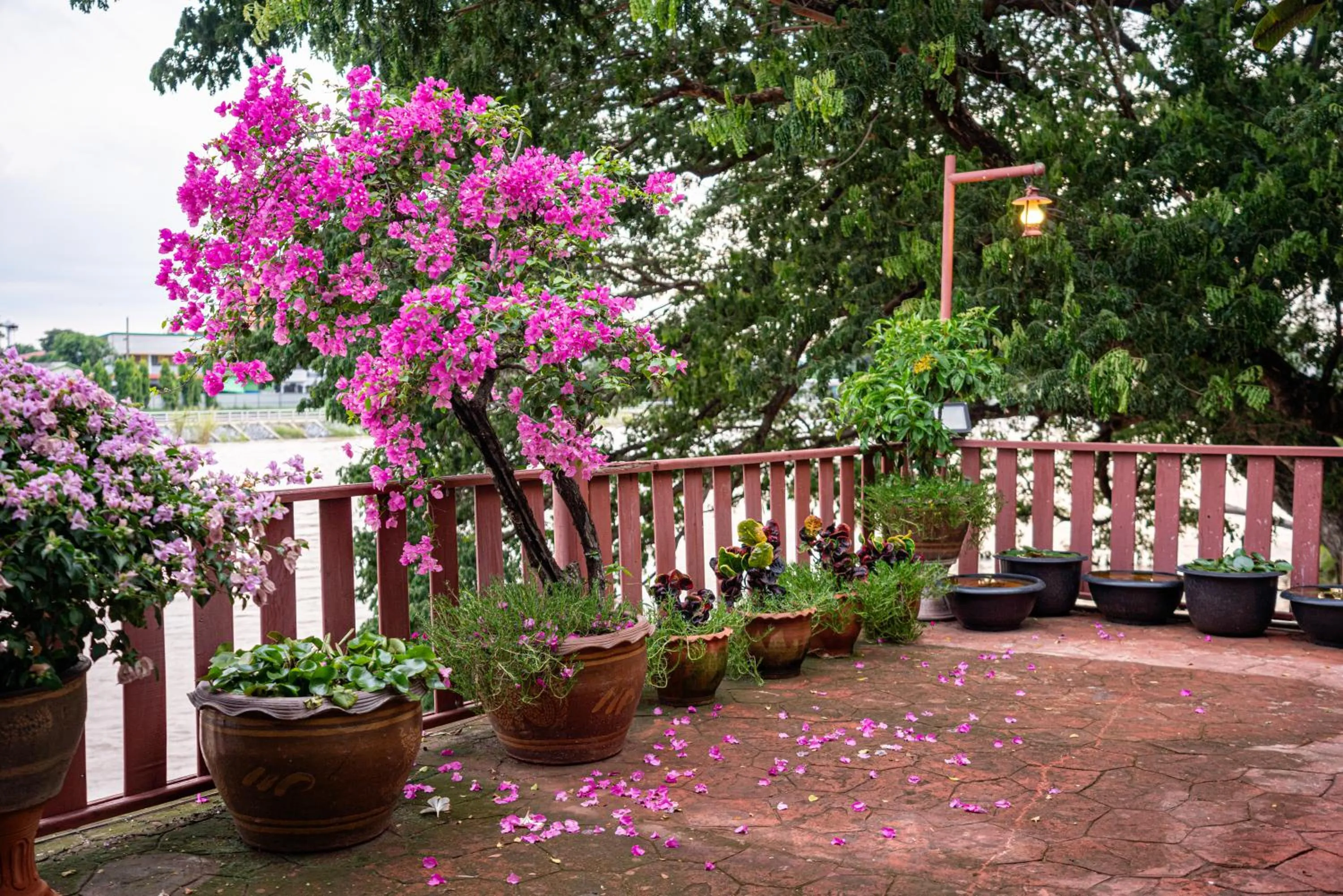 Natural landscape in Athithara Homestay