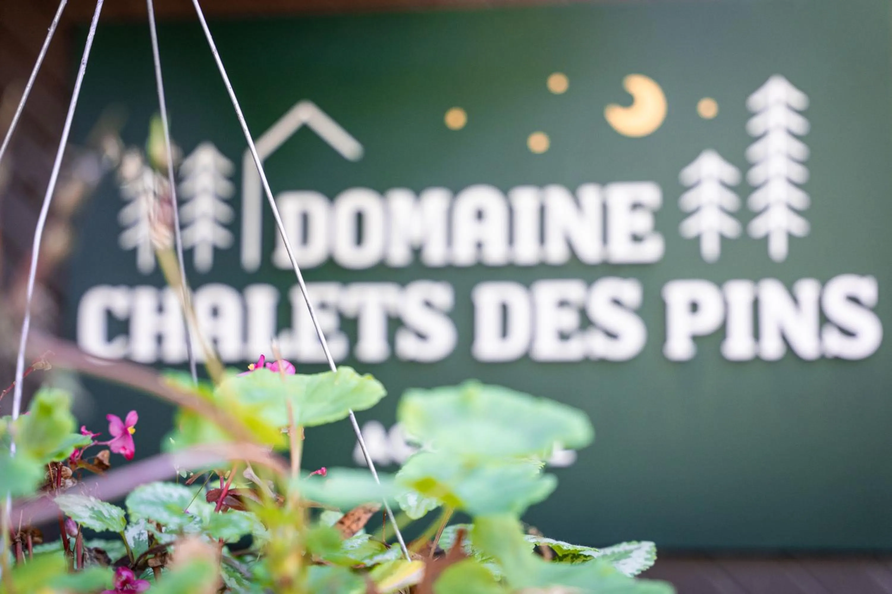 Domaine Chalets des pins