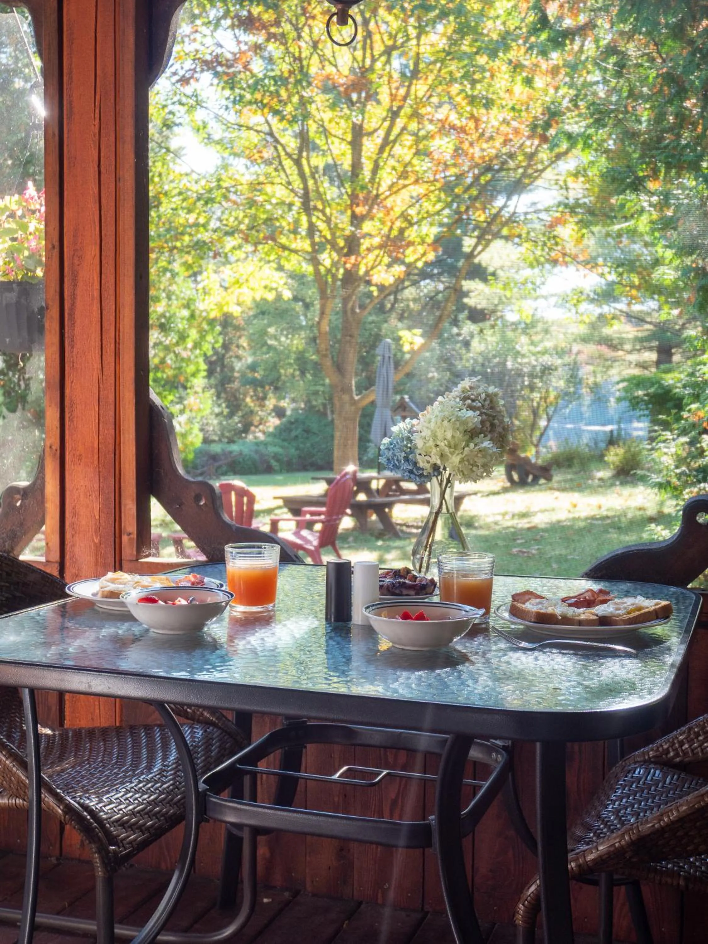 Balcony/Terrace in Domaine Chalets des pins