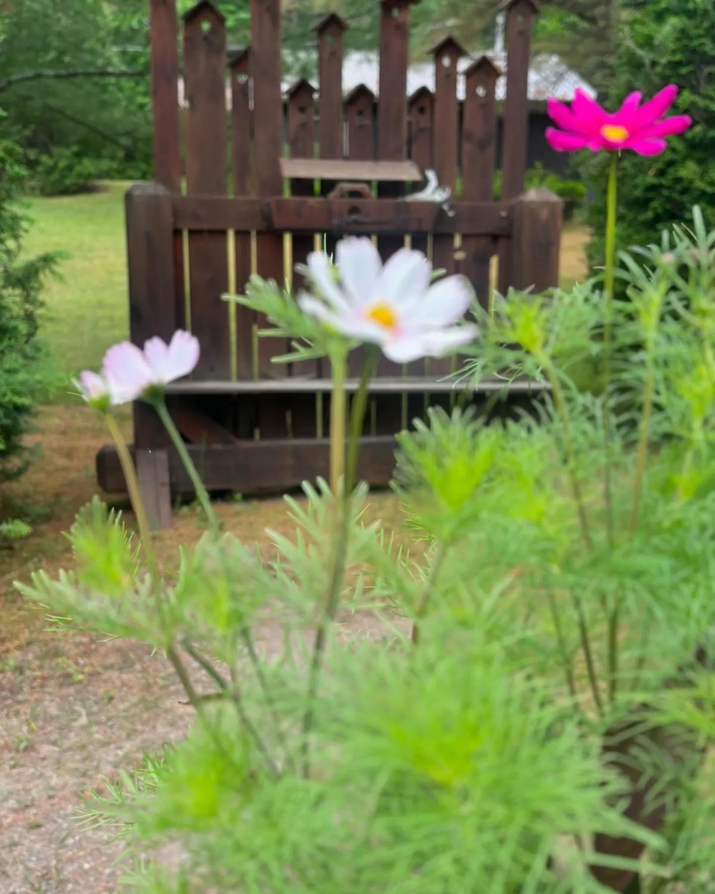 Spring in Domaine Chalets des pins